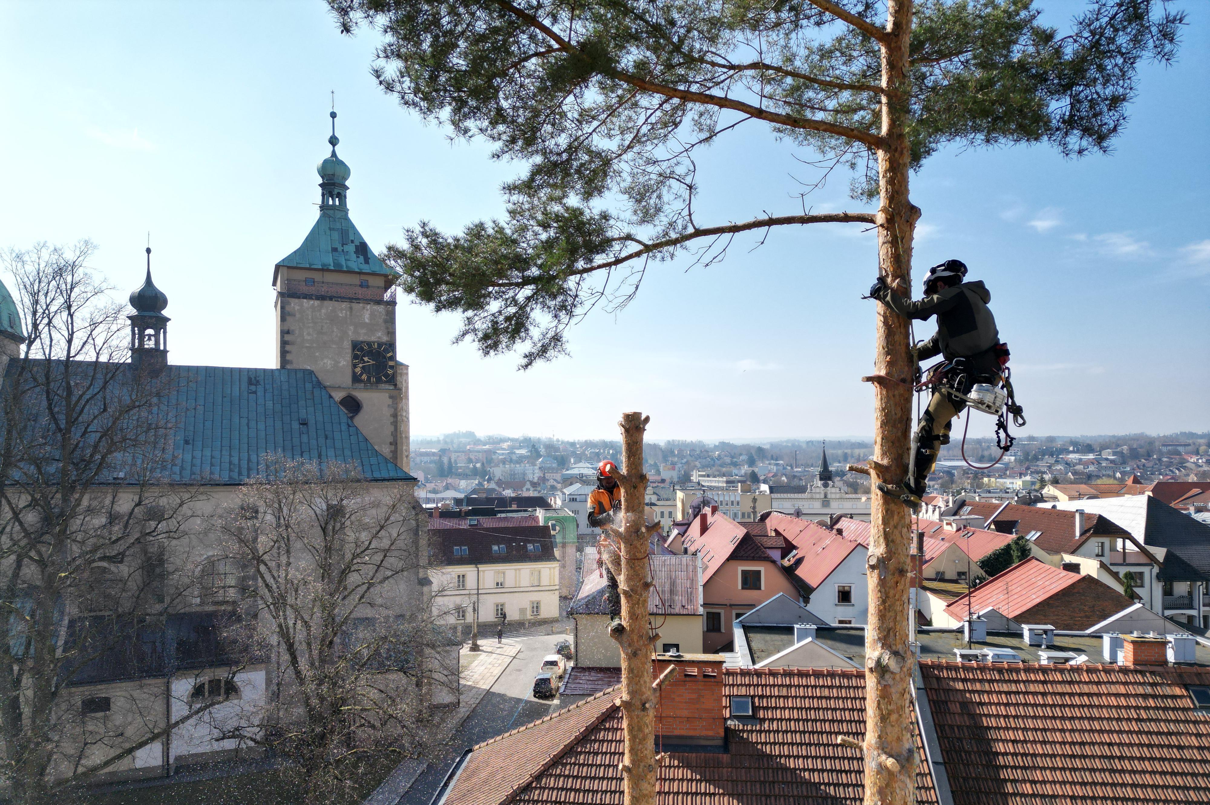 Štěpán Stryk - Arboristika & rizikové kácení
