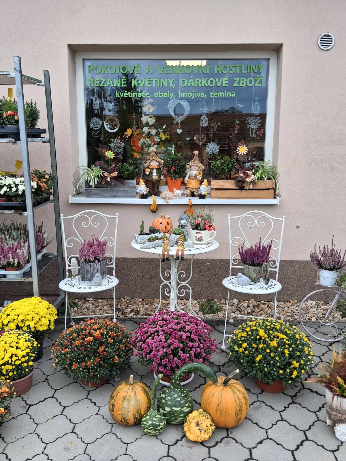 Květinka Orchidea foto 2