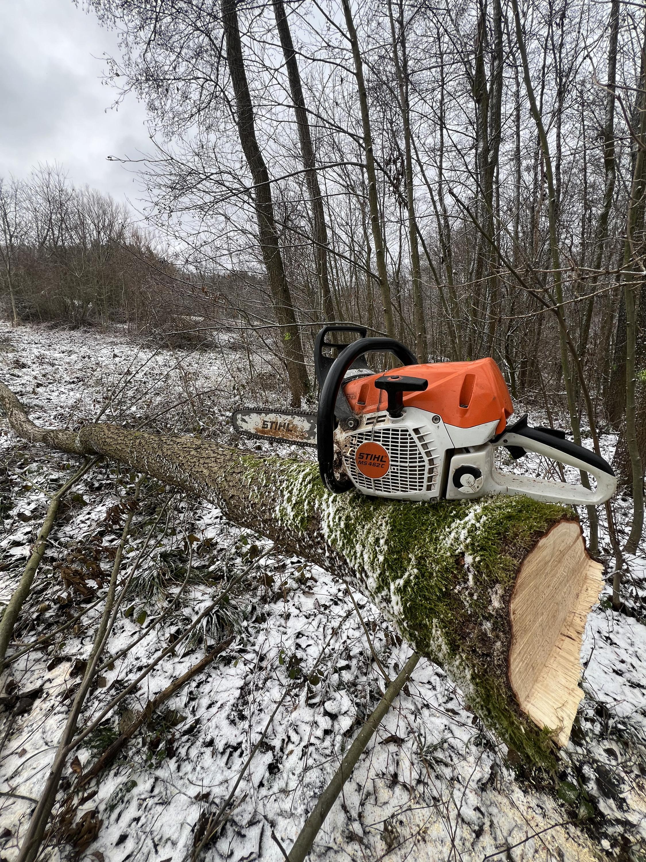 Lesní a zahradnické práce Lapuník foto 5