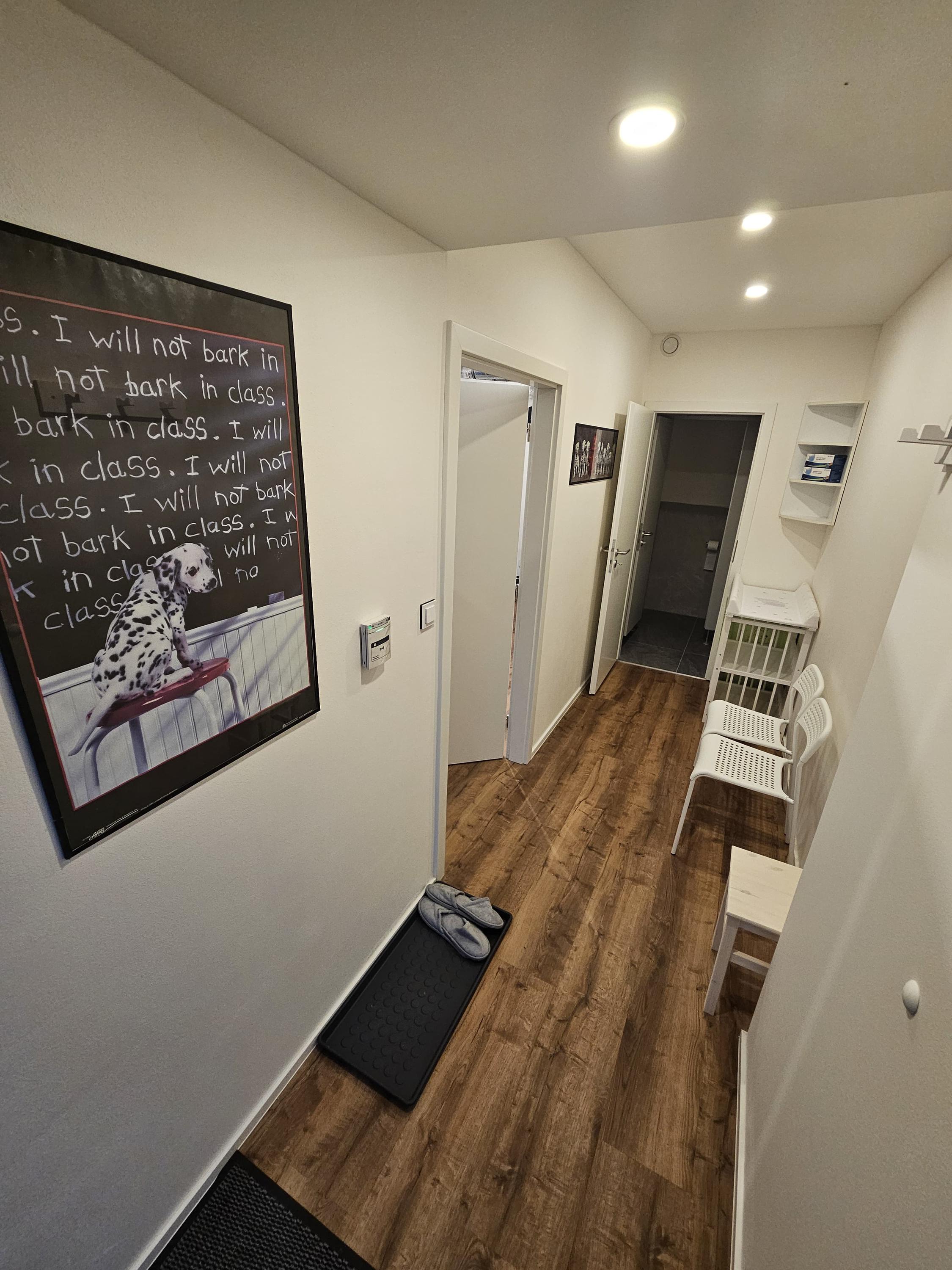 Fyziohanspaulka foto 3