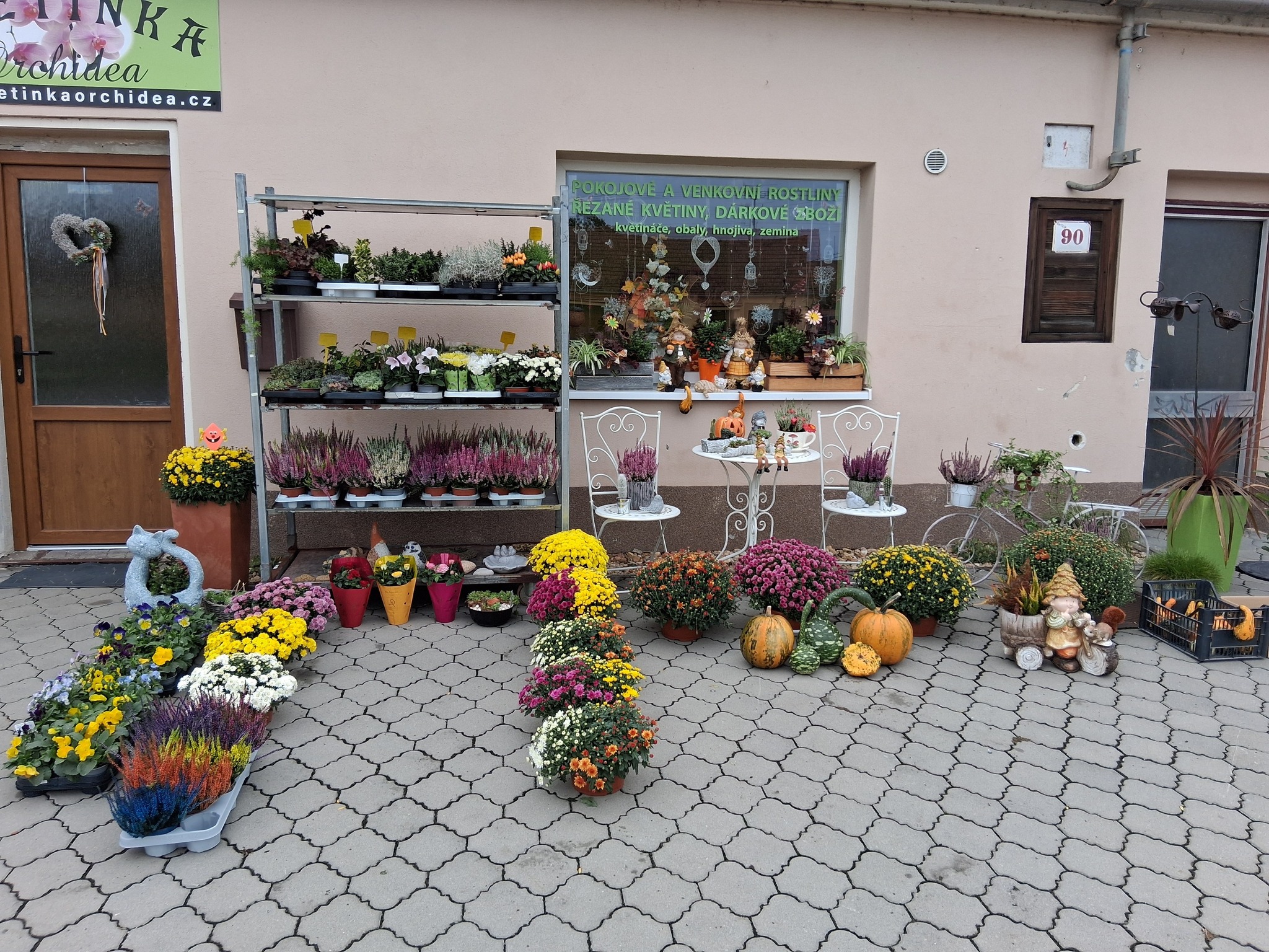 Květinka Orchidea foto 3