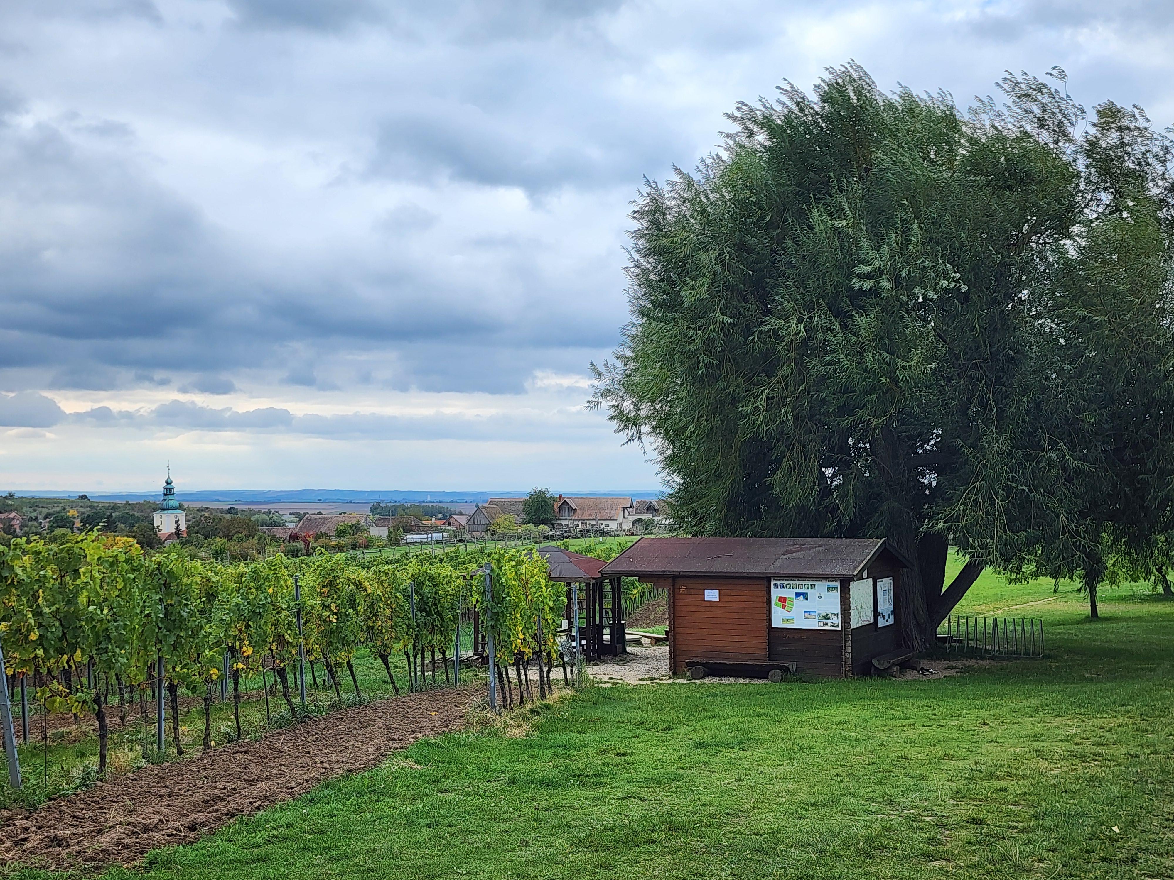 ZNOVÍN ZNOJMO - ochutnávkový stánek foto 6