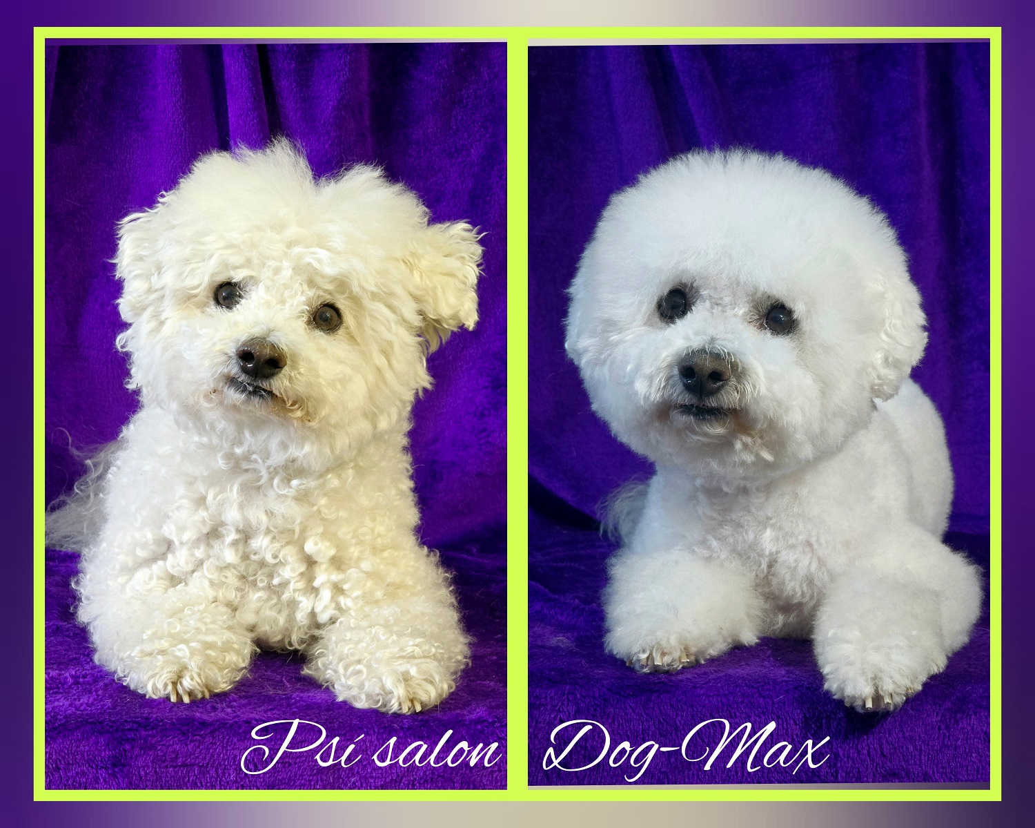 Psí salon DOG MAX foto 5