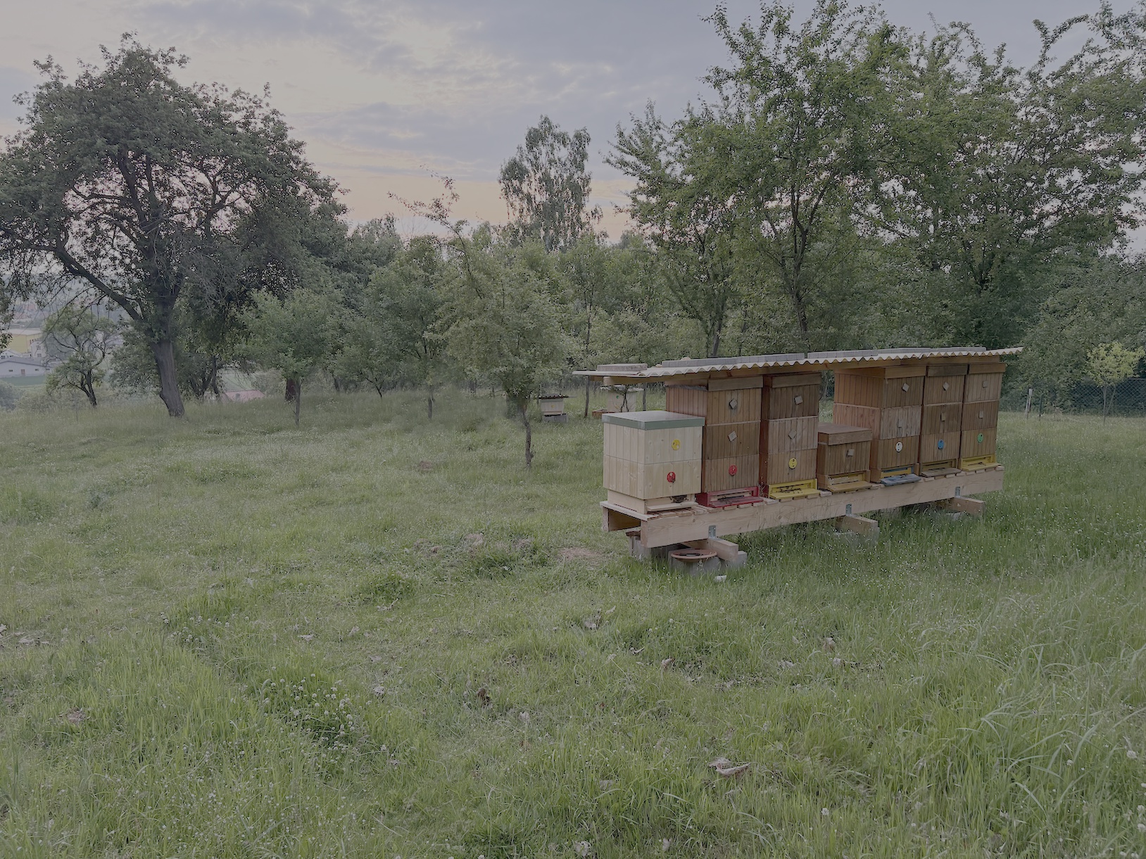 Medomat - Včelařství Lužná