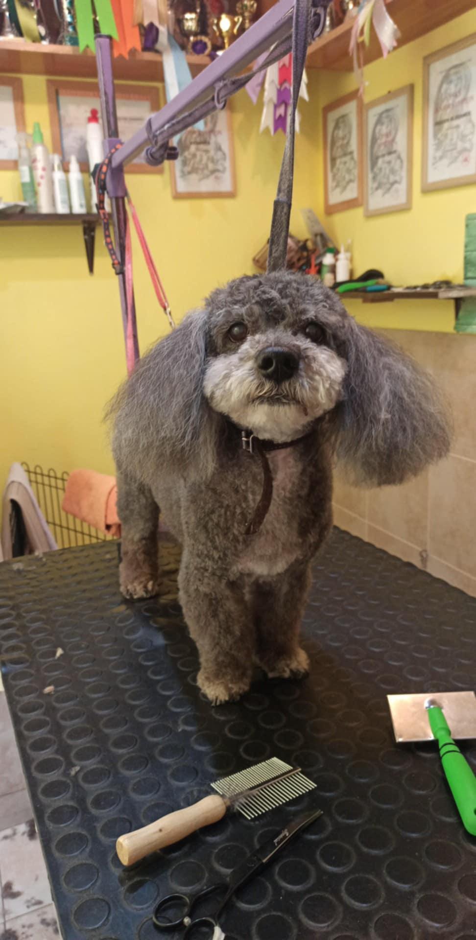 Lenka Bučková foto 3