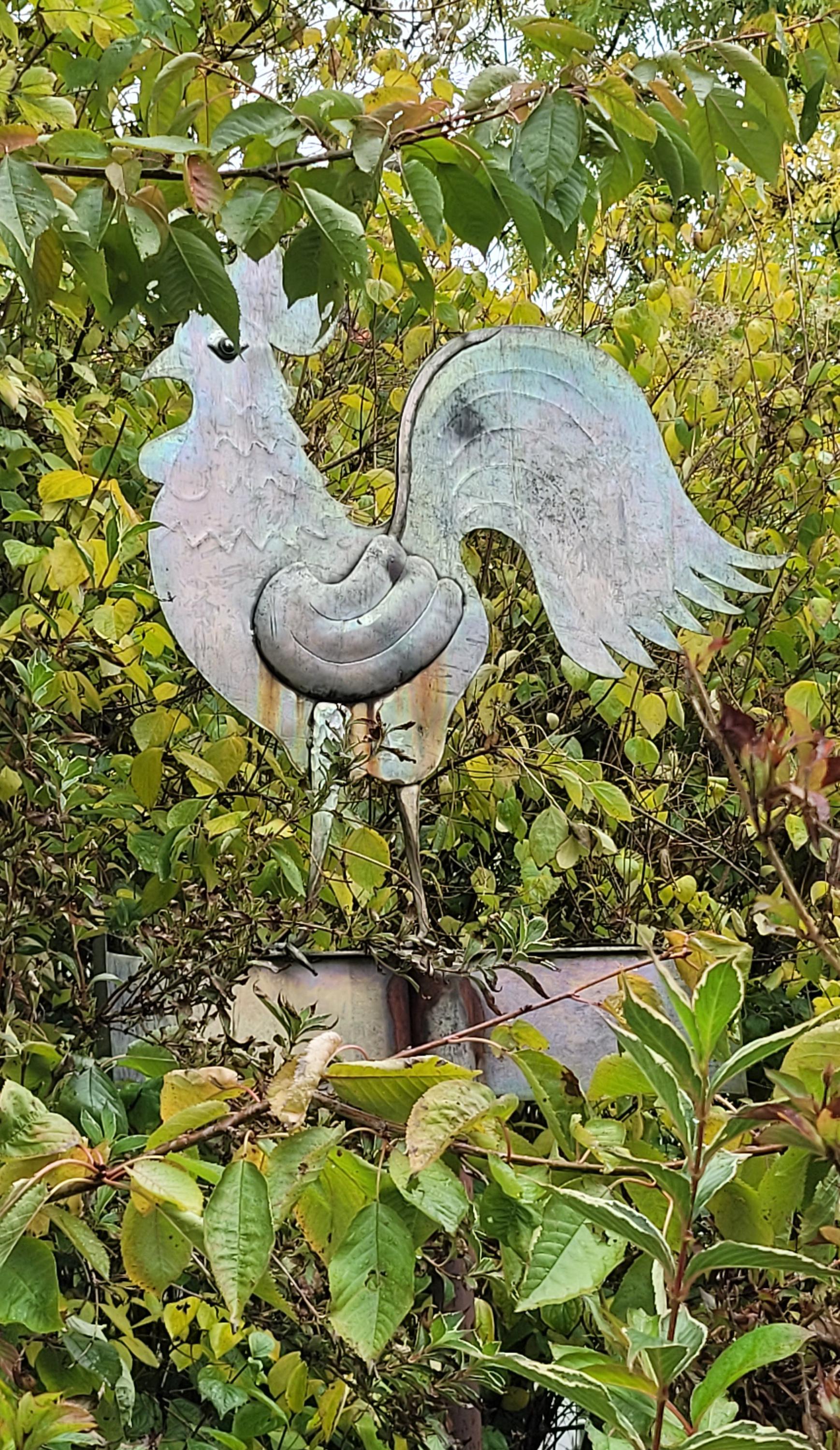 ZŠ Hanspaulka a MŠ Kohoutek Praha 6 foto 2