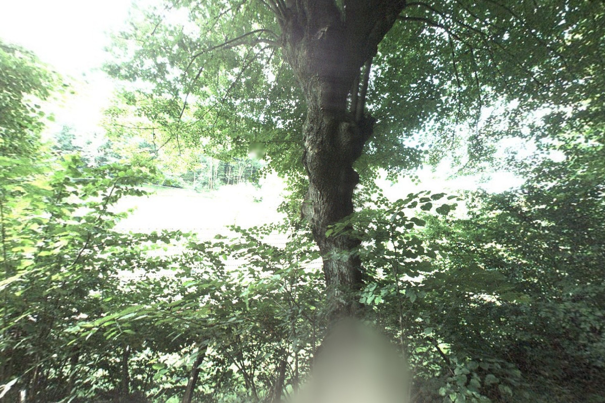 Tělové svíce z karpat - Kateřina Raisová