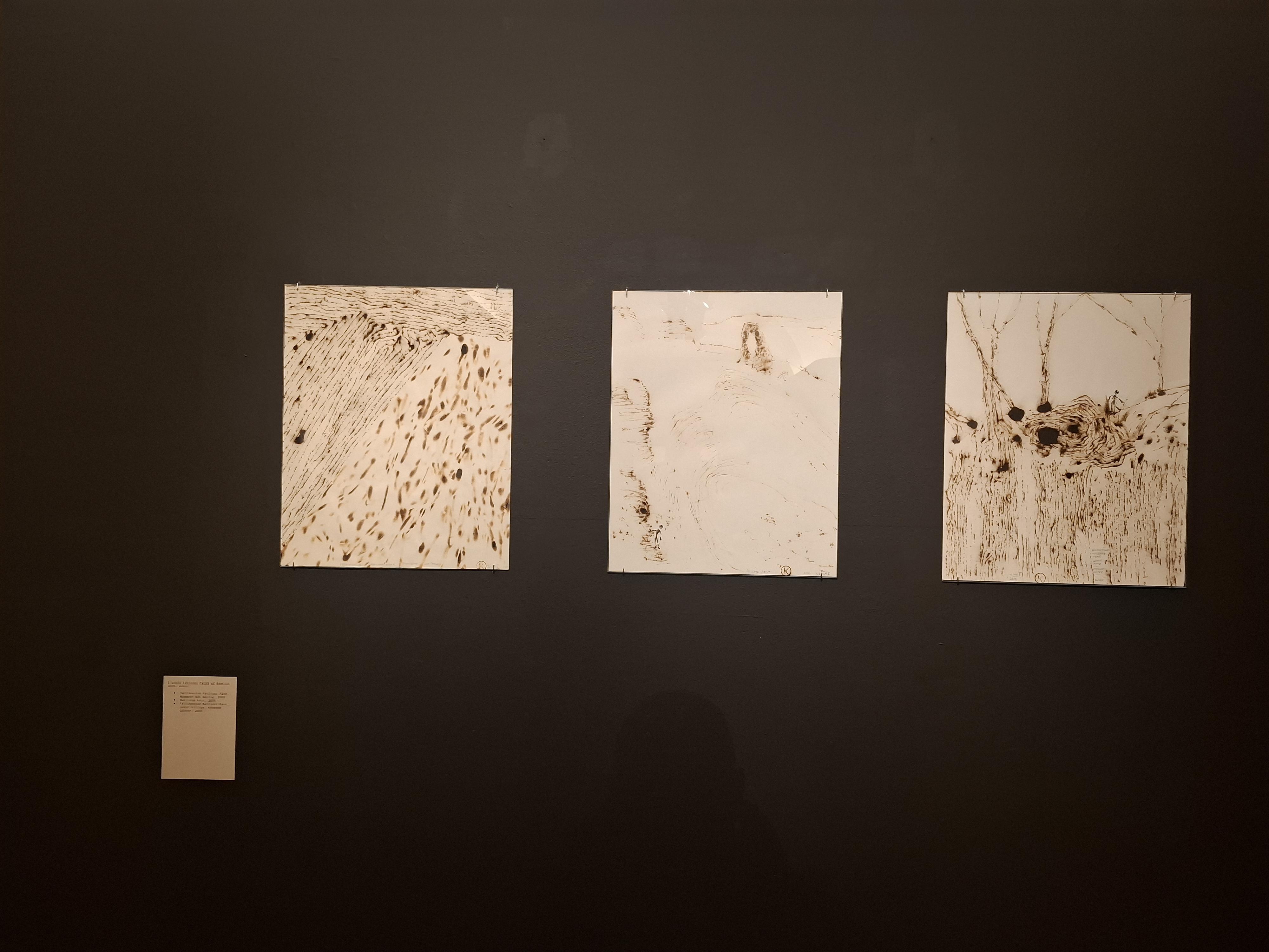 Západočeská galerie v Plzni foto 4