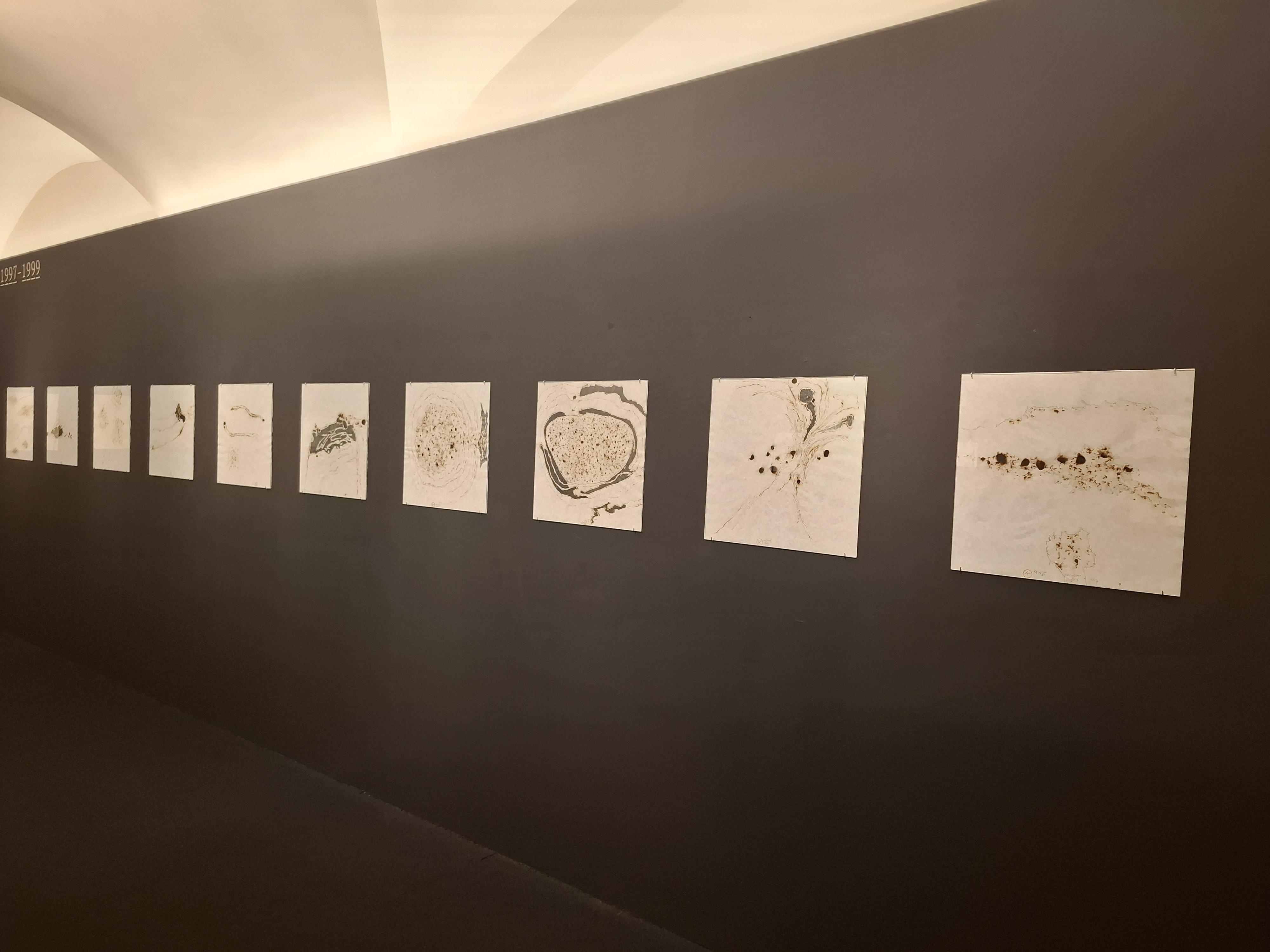 Západočeská galerie v Plzni foto 2