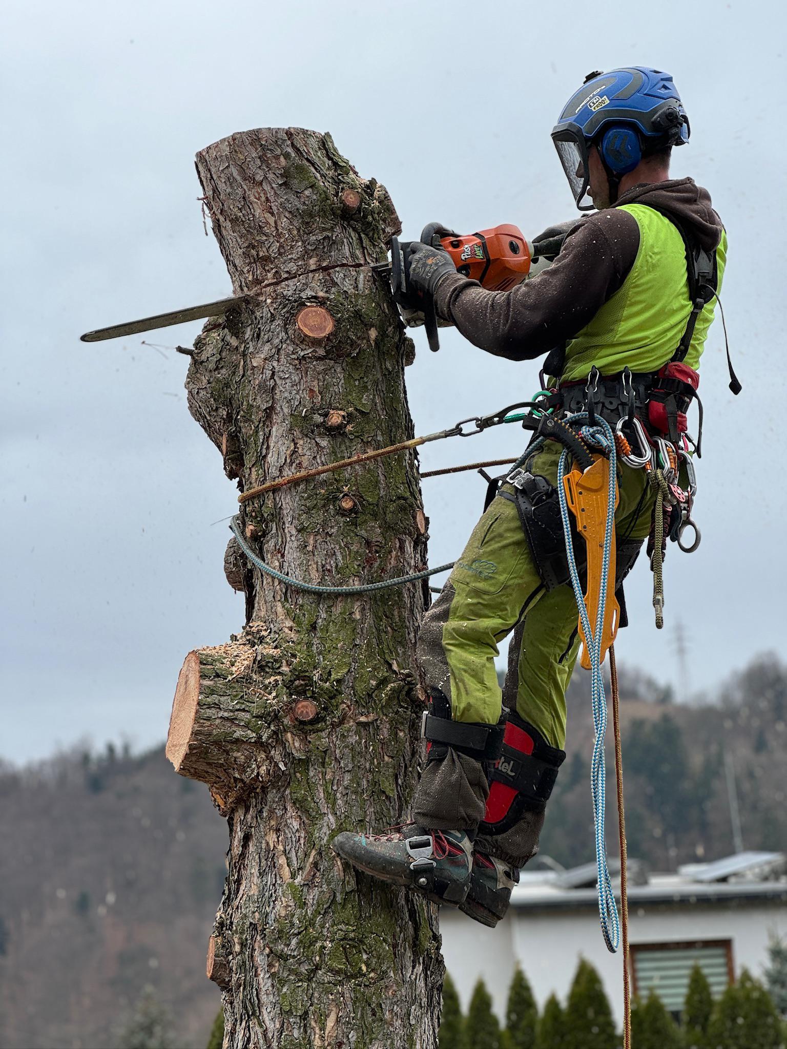 Výškové Kácení Ondřej Liebl foto 3
