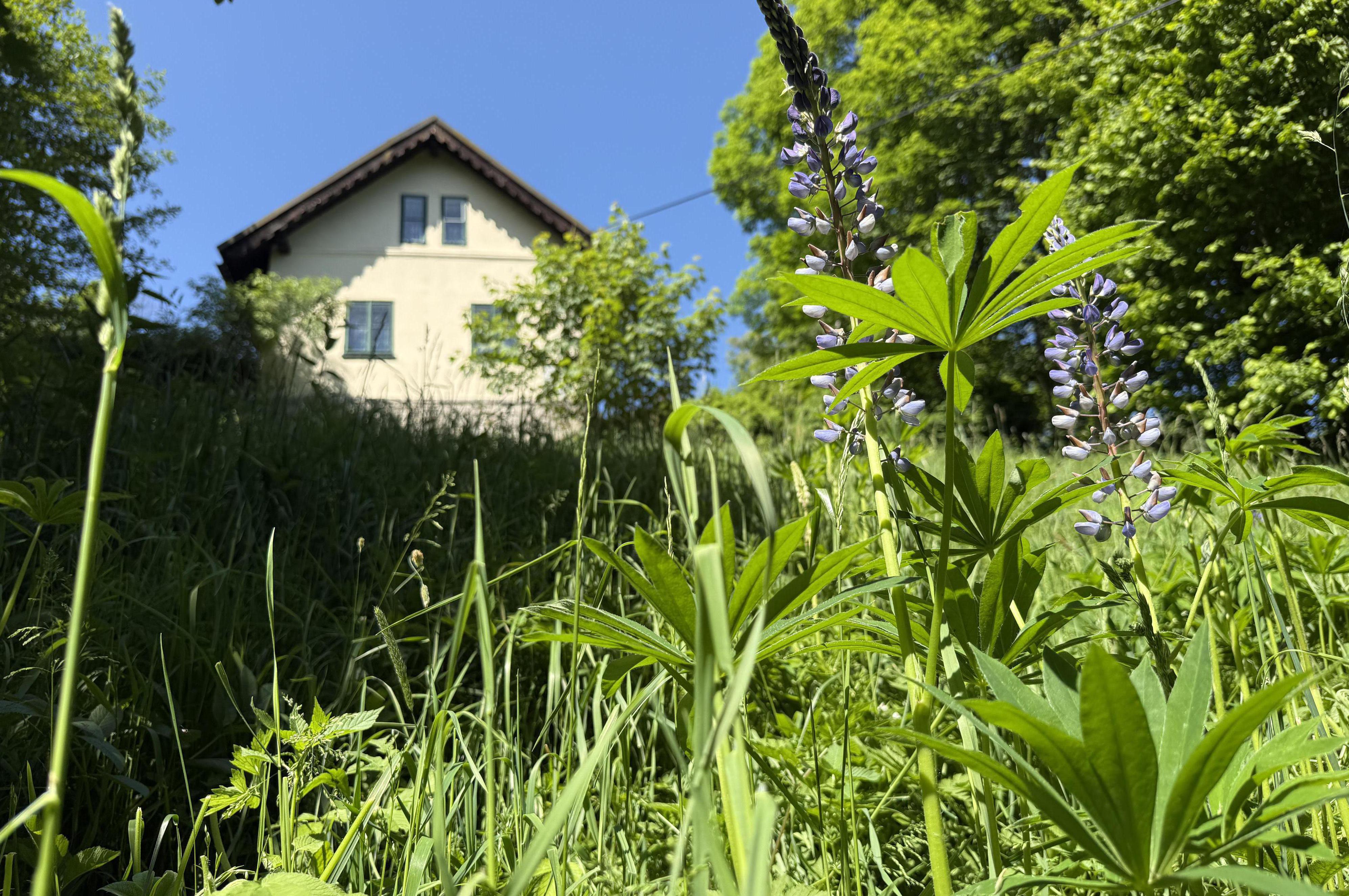 Stříbrná chaloupka