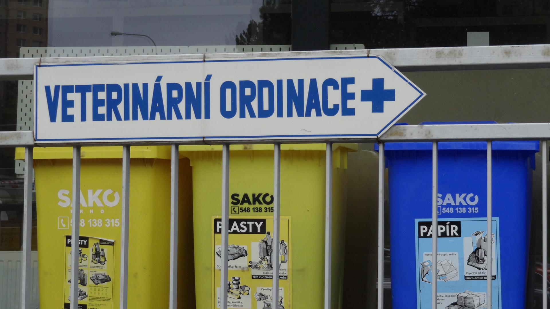 Veterinární ordinace MVDr. Andrea Vyskočilová foto 6