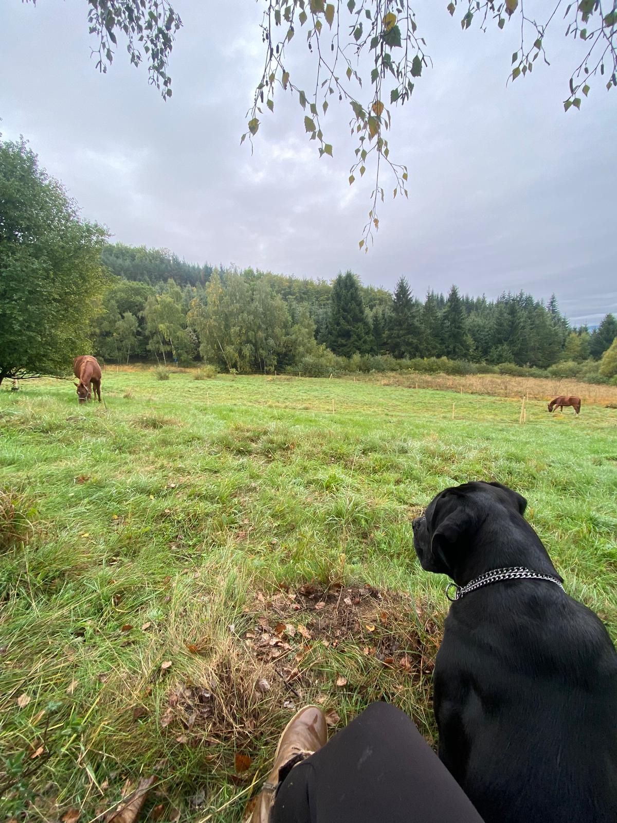 Lost Creek Ranch foto 2