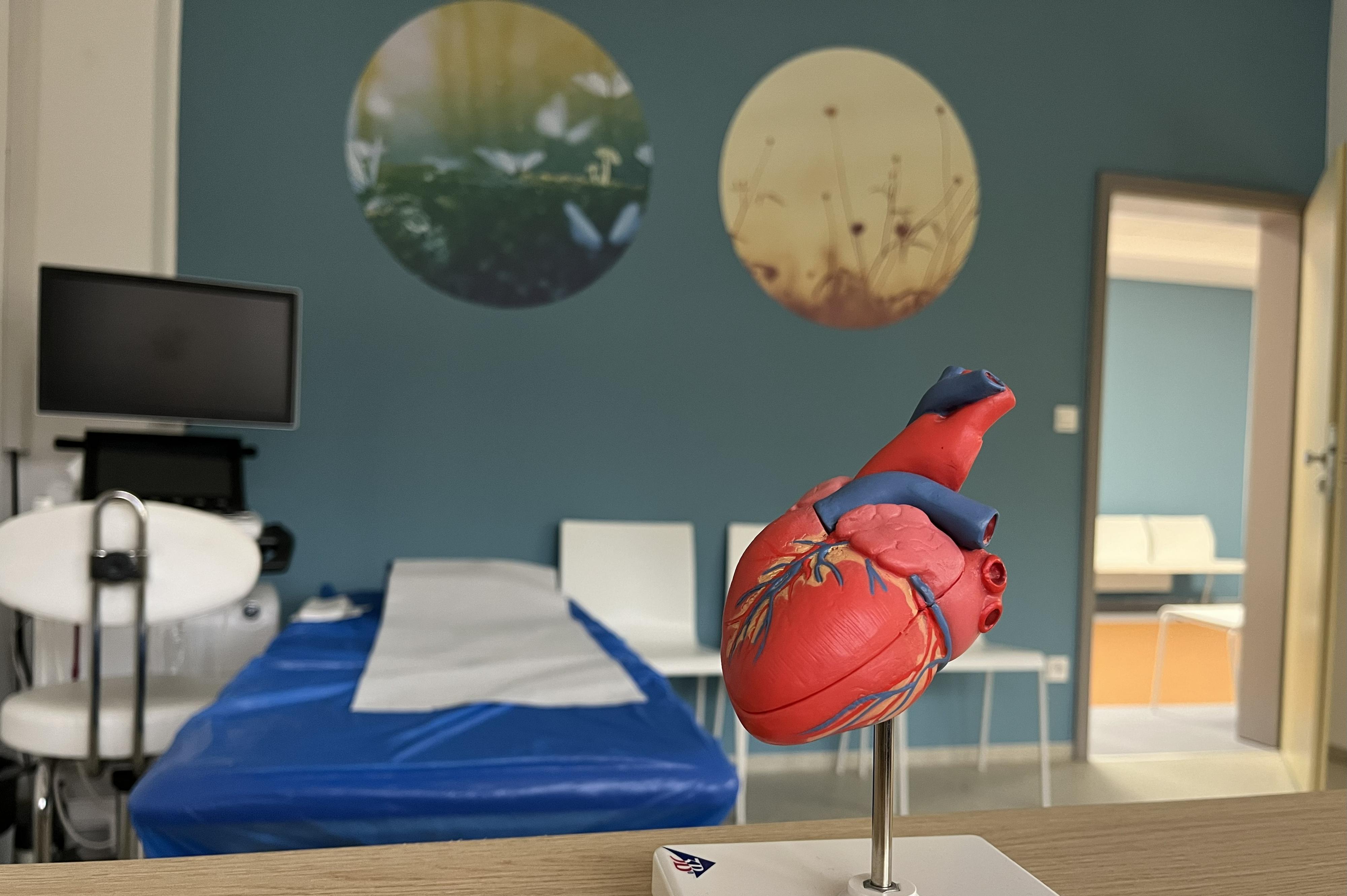 KARDIF, kardiologie dětská i fetální