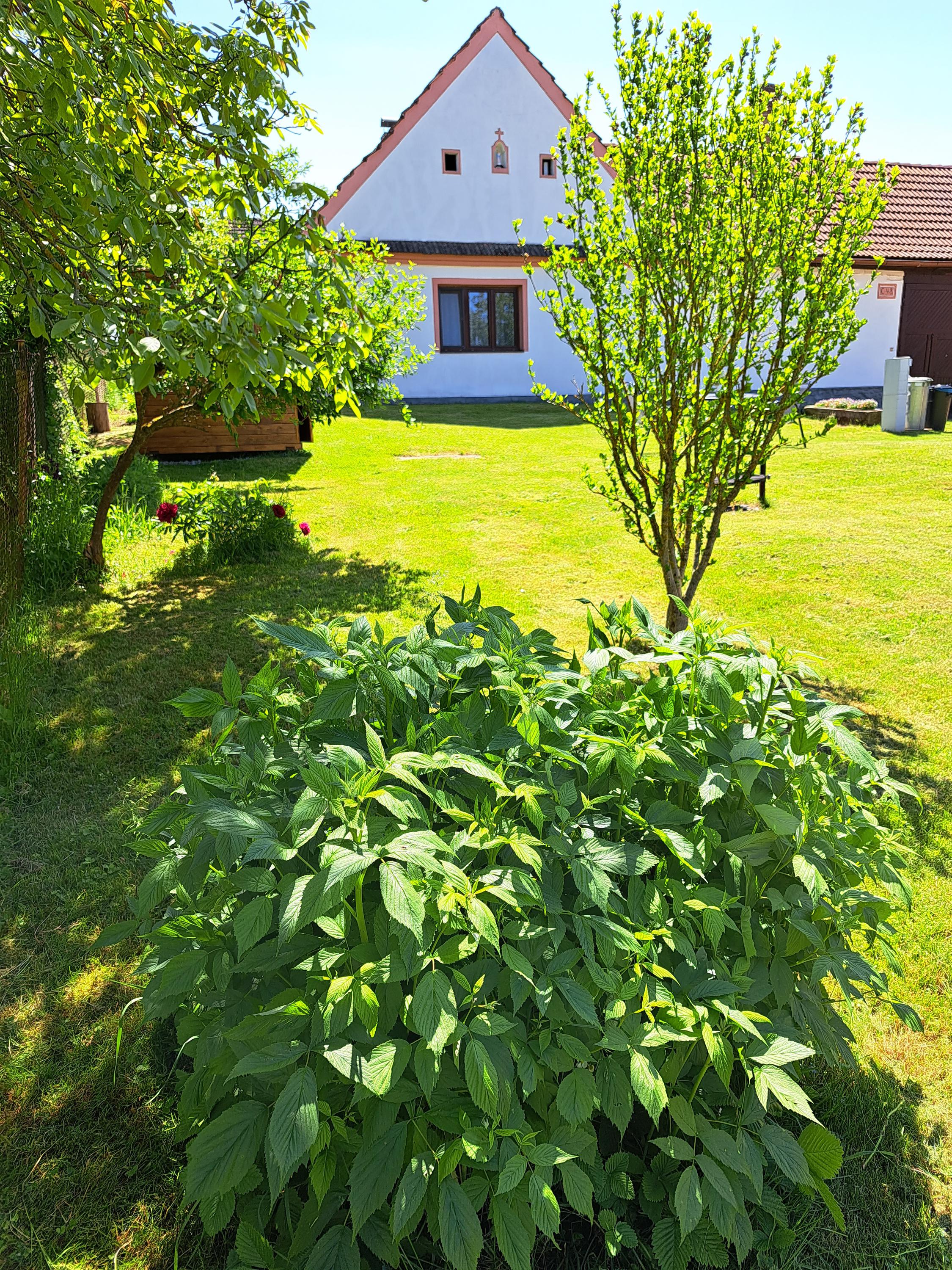 Ubytování CEP foto 3