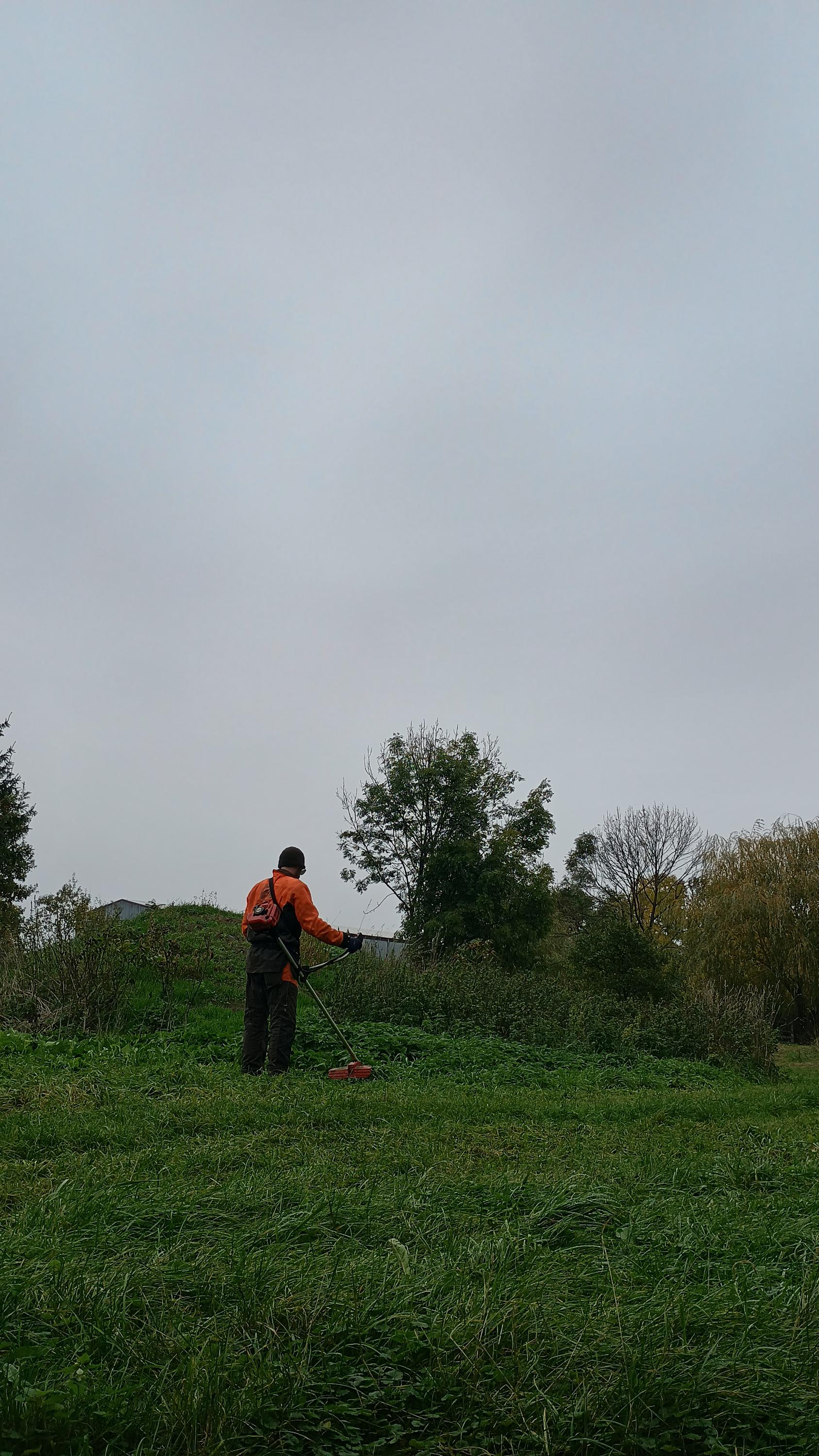 Vlastimil Illner - rizikové kácení foto 6