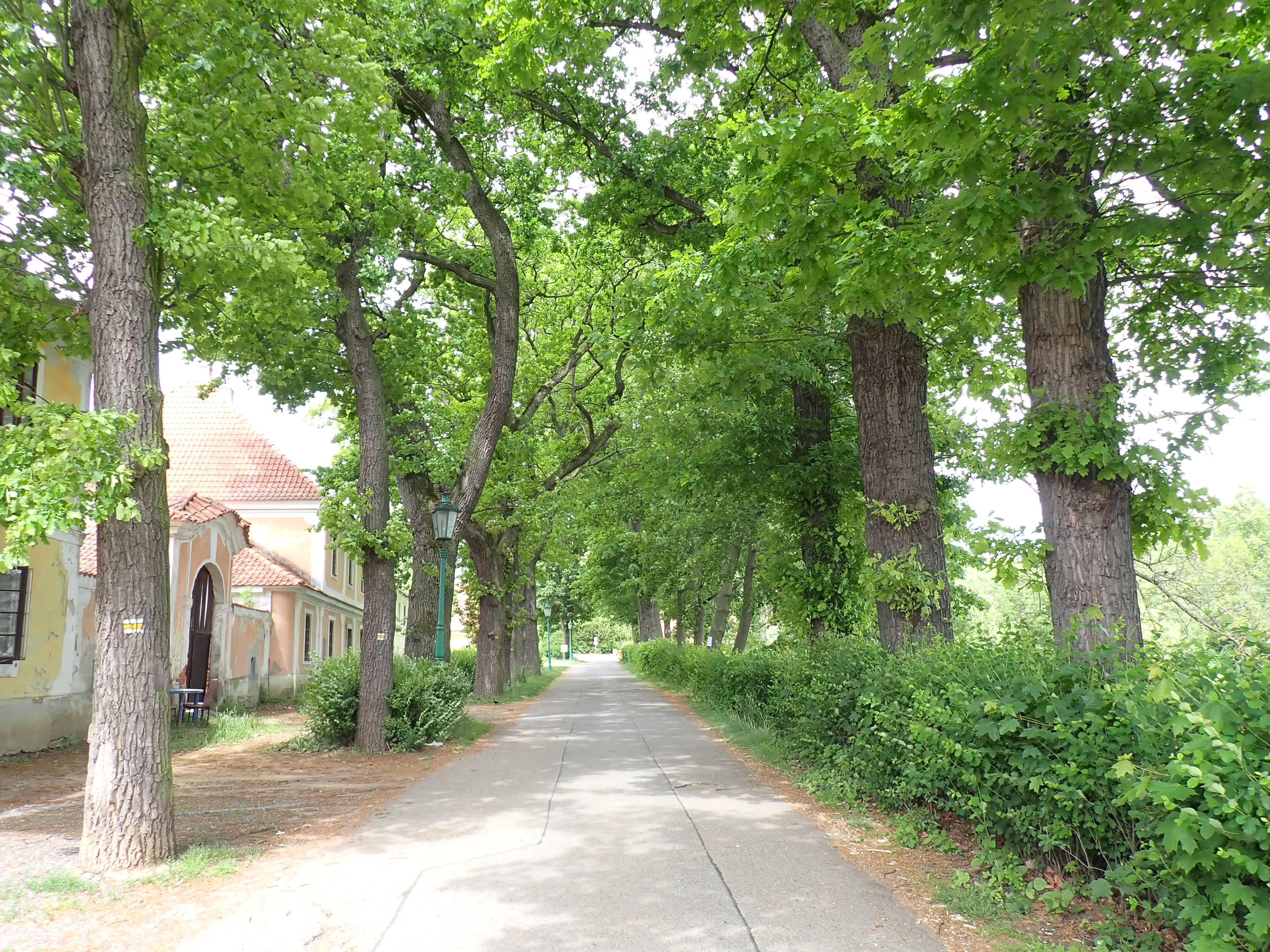 Muzeum dob dávno minulých - Čimelice foto 6