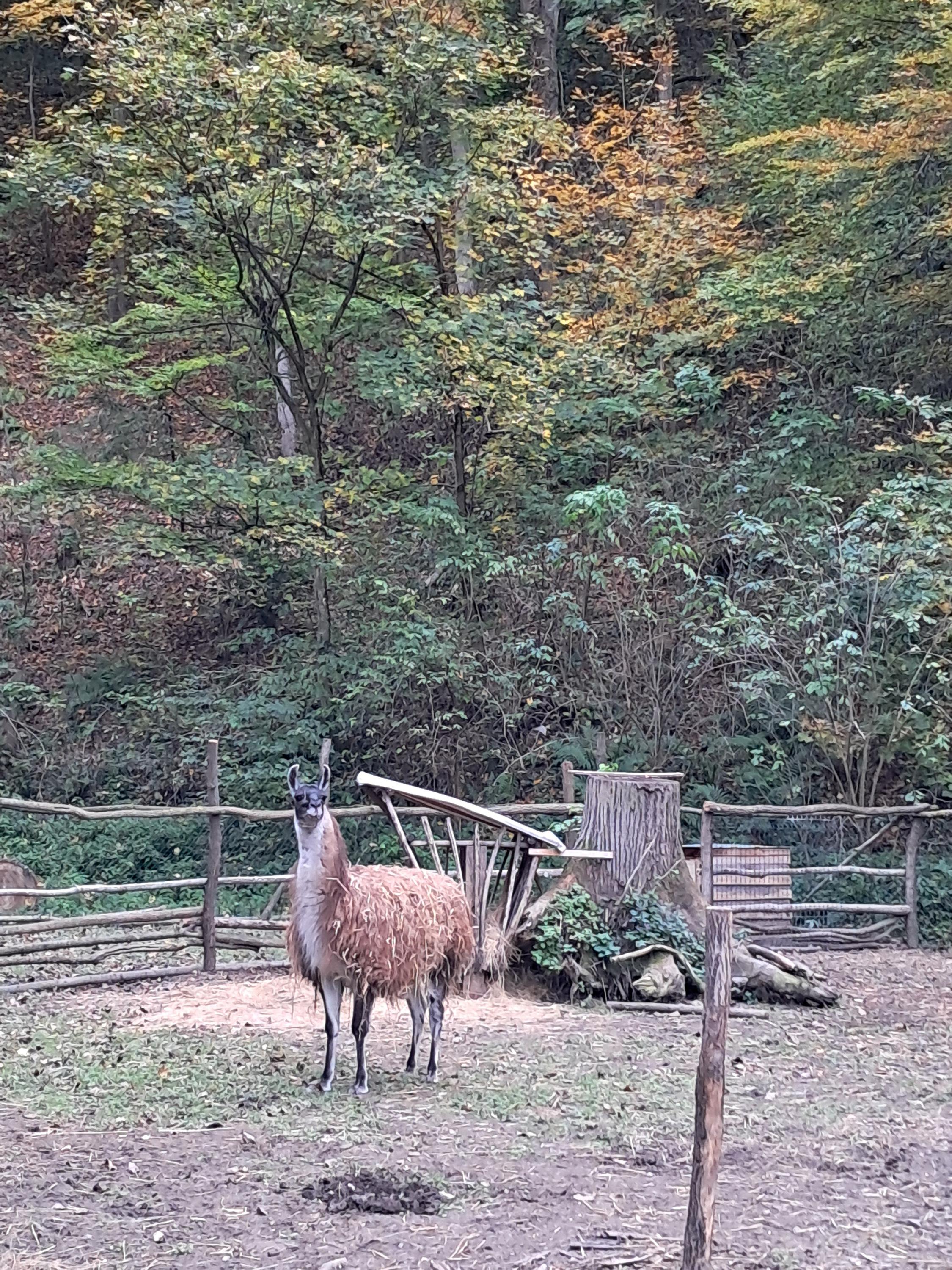 Ubytování Spálený Mlýn foto 4