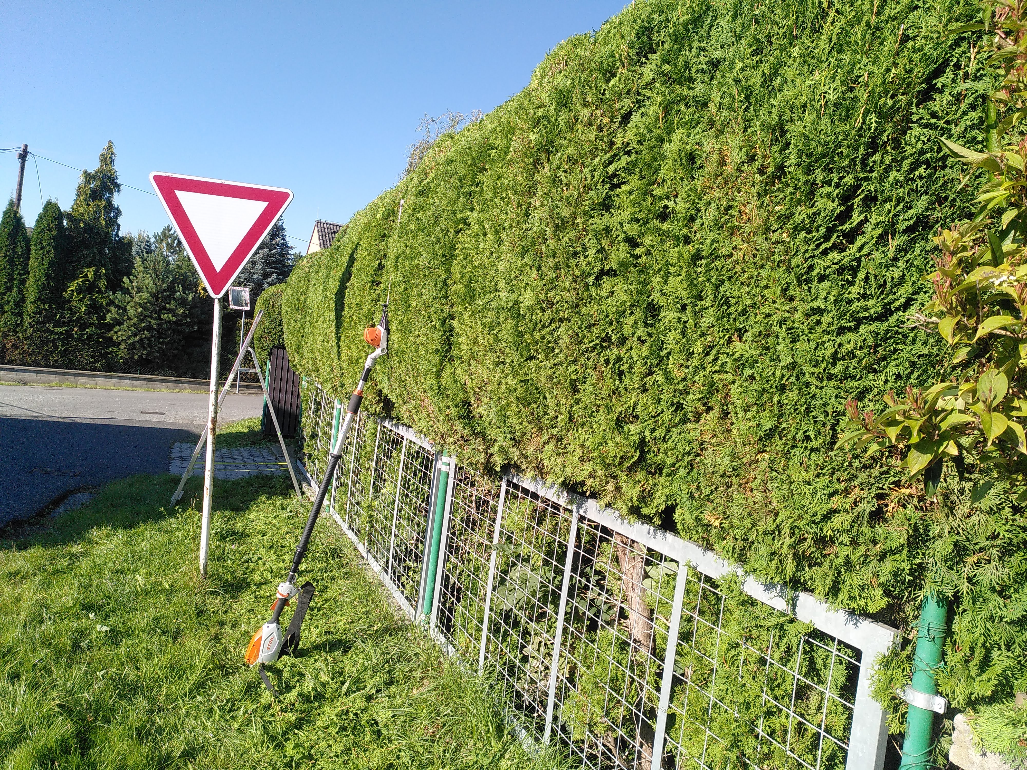 ZAHRADY JONATHAN foto 5