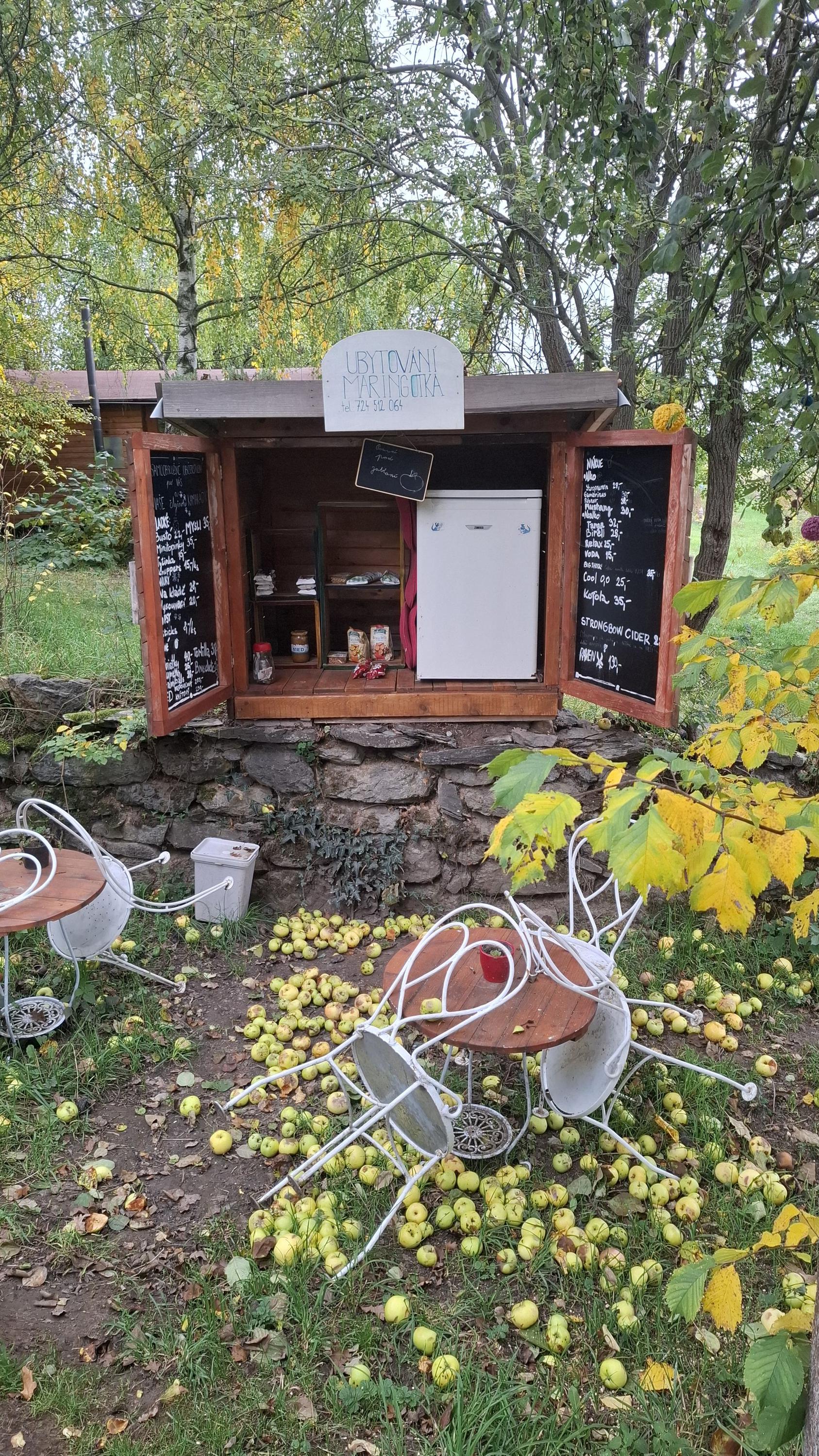 Posezení pod jabloní foto 2