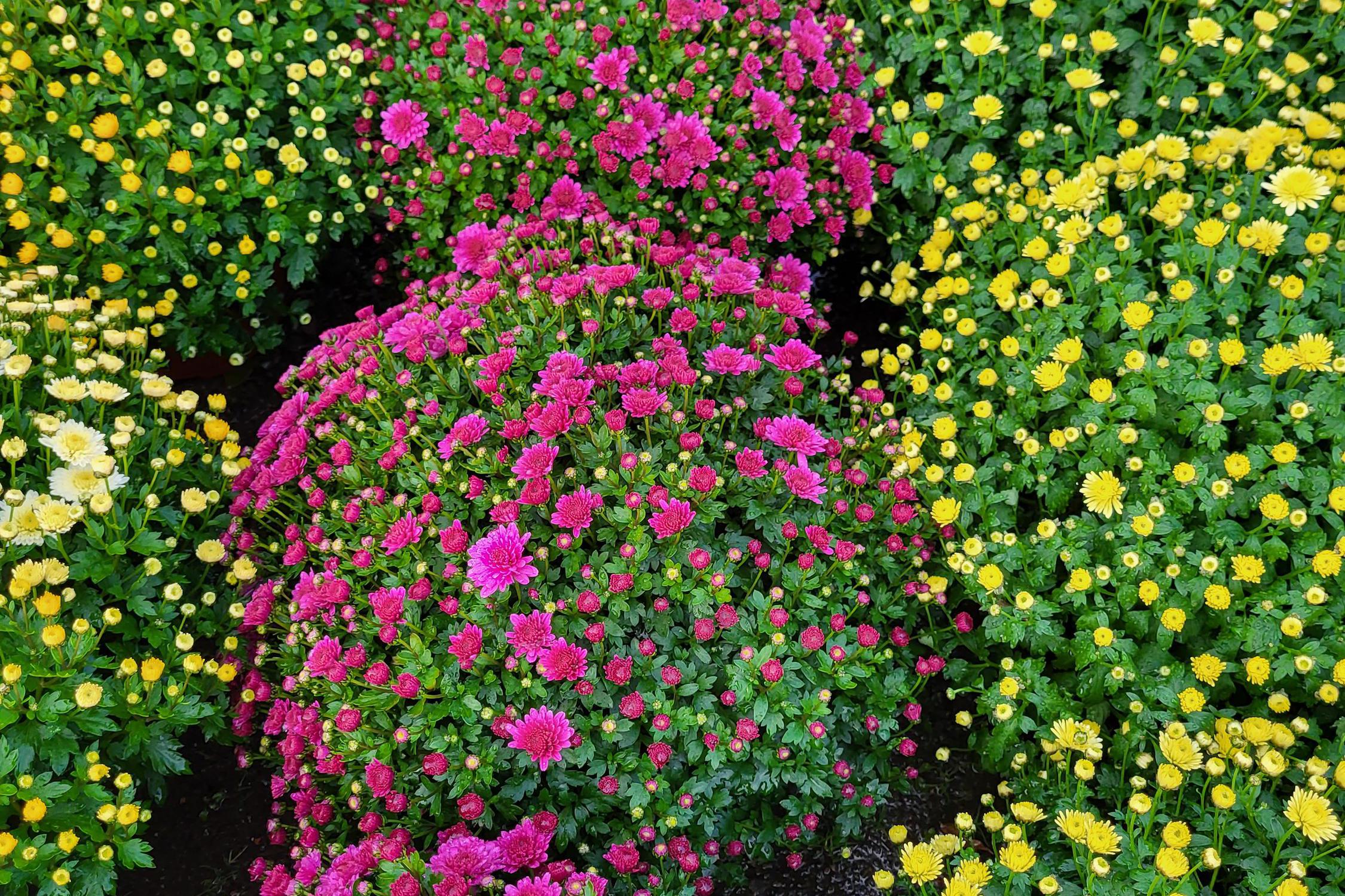 Zahradnictví Bačina - Závlaha