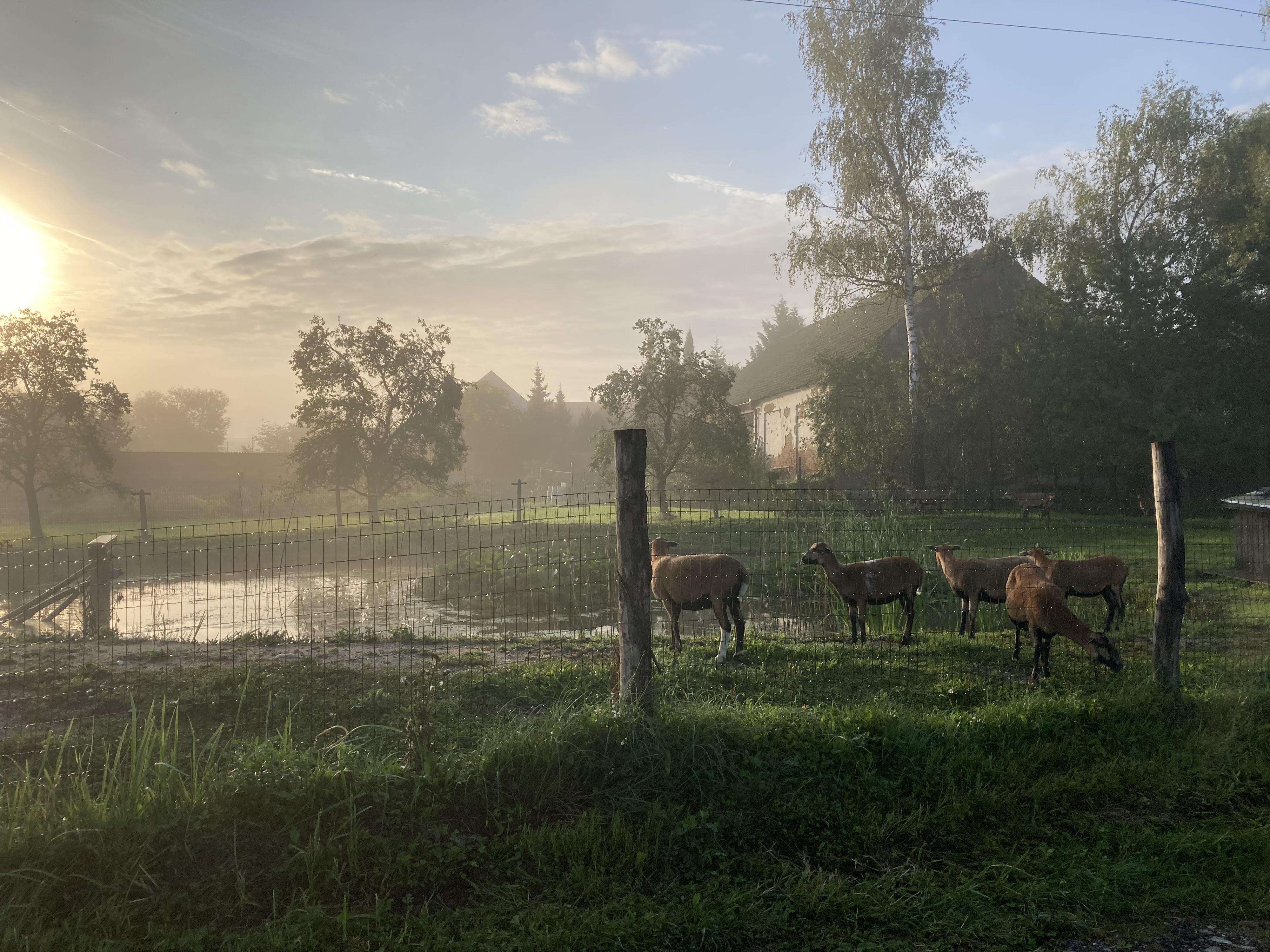 Kemp Kněžínek foto 3