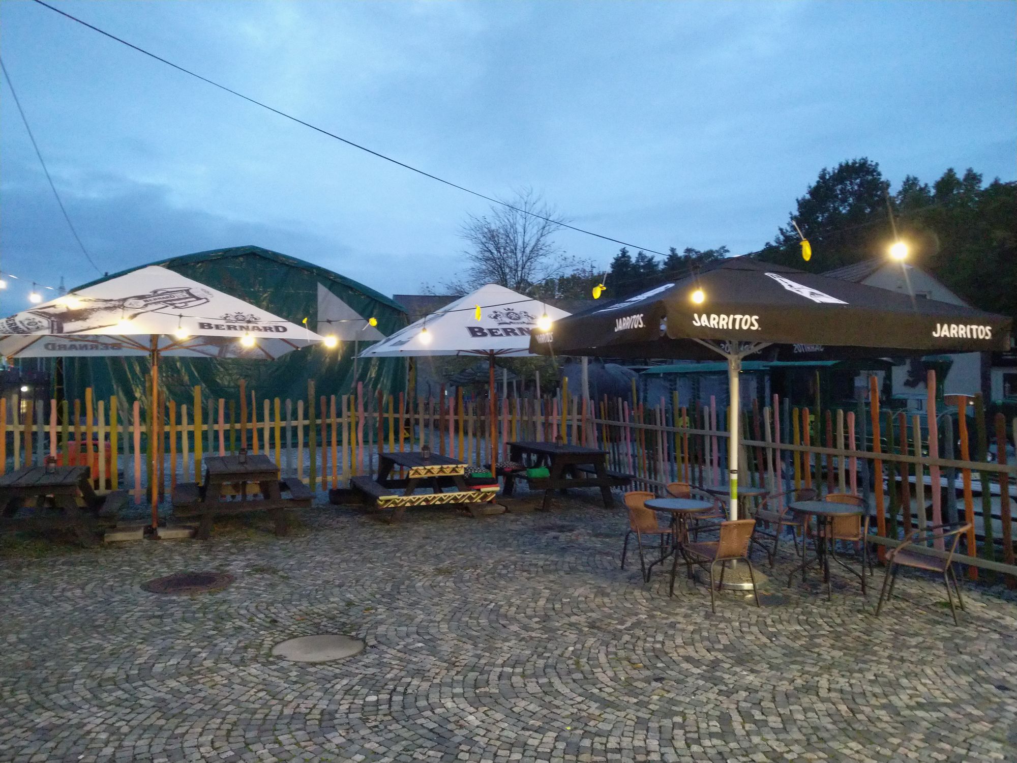 Gata Mexicana foto 4