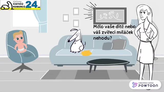 Půjčovna čističů koberců 24 foto 2 (náhled videa)