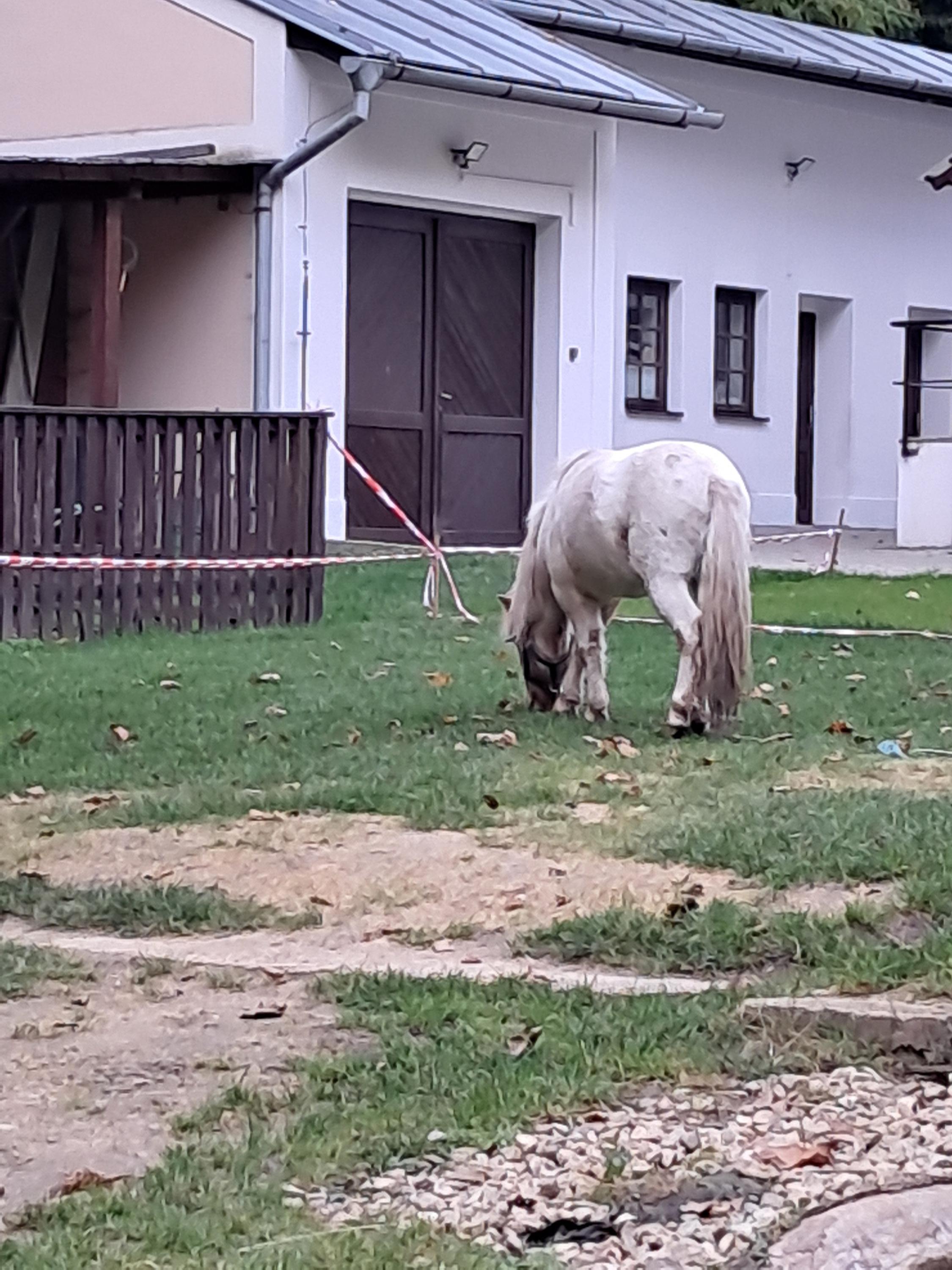 Ubytování Spálený Mlýn foto 5