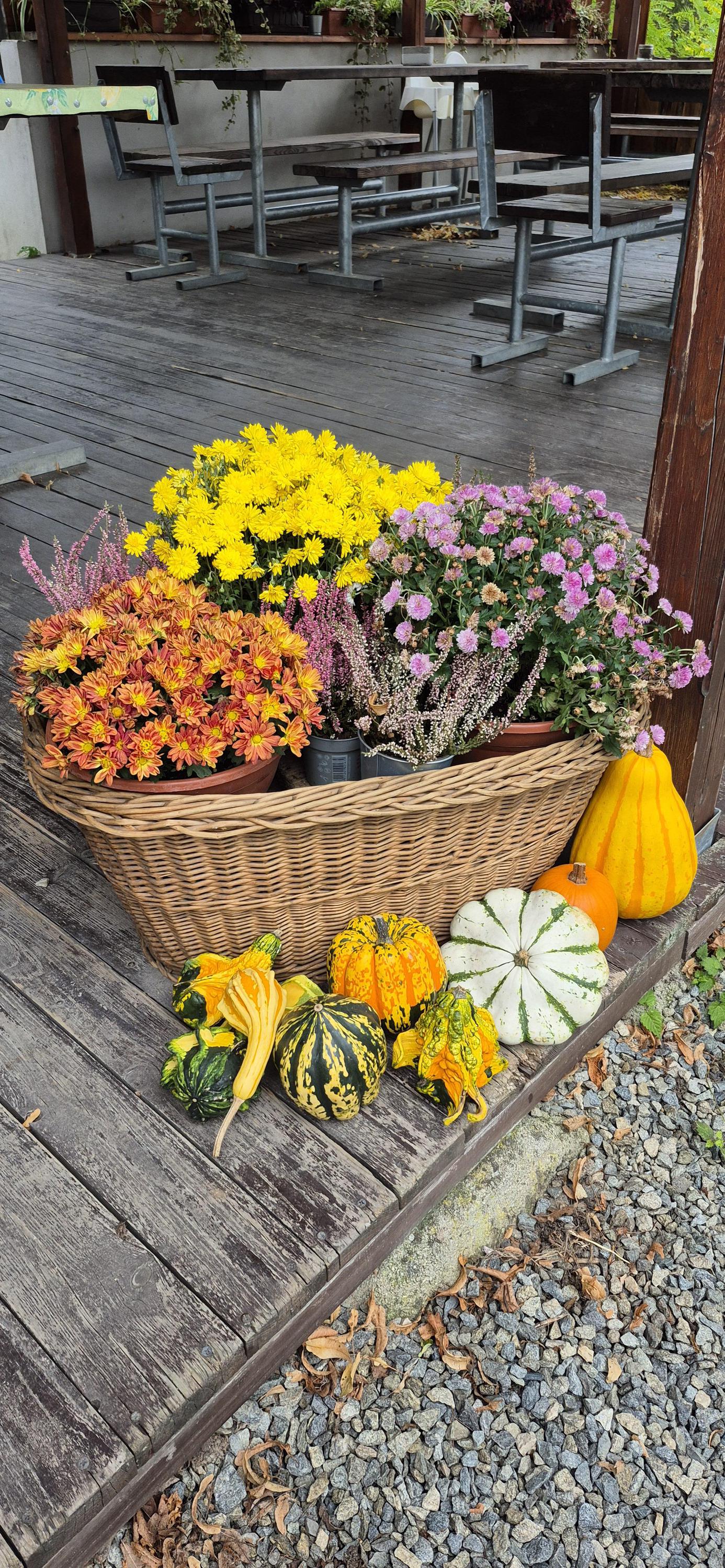 Bistro D.J. U řeky foto 4