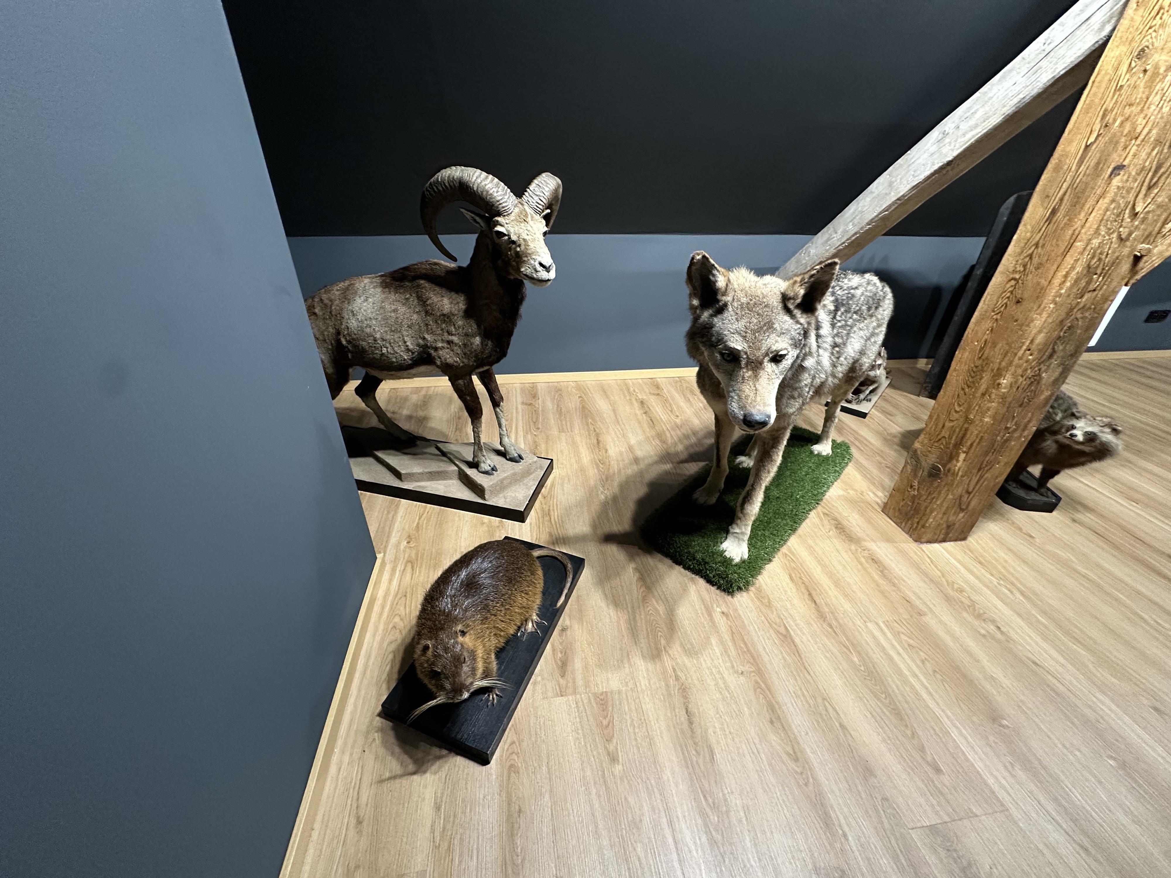 Městské muzeum a galerie Nepomuk foto 6