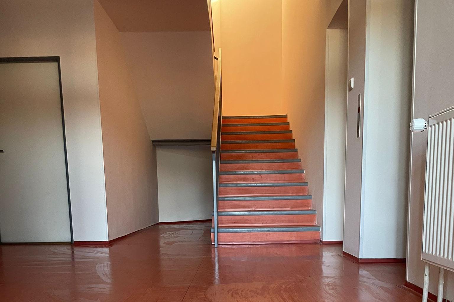 vymalovatbyt.cz foto 1