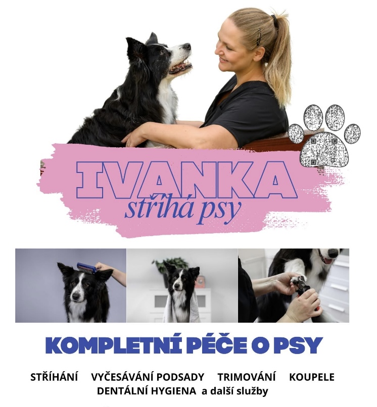IVANKA stříhá psy foto 5