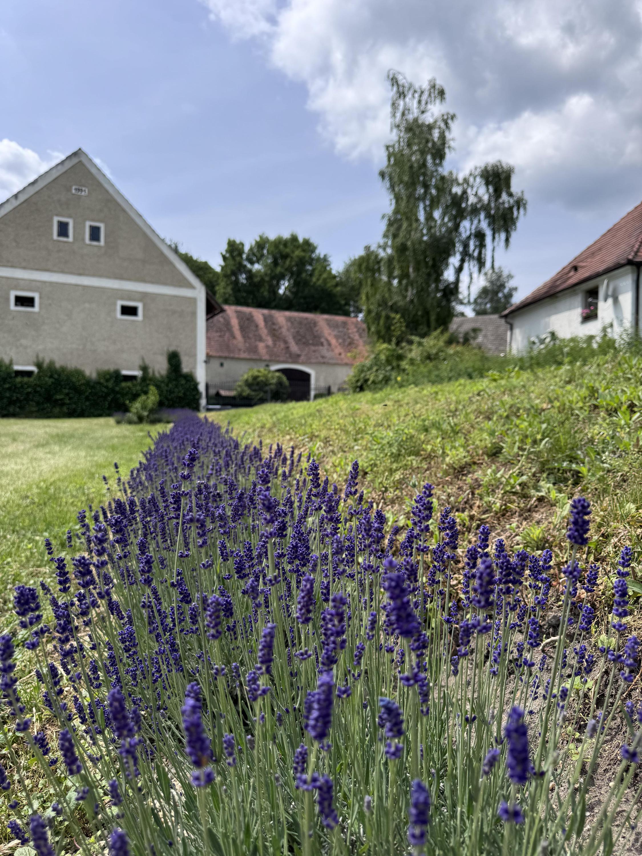 Ondřej Suk - rostlinná výroba, pronájem obytných vozů foto 4