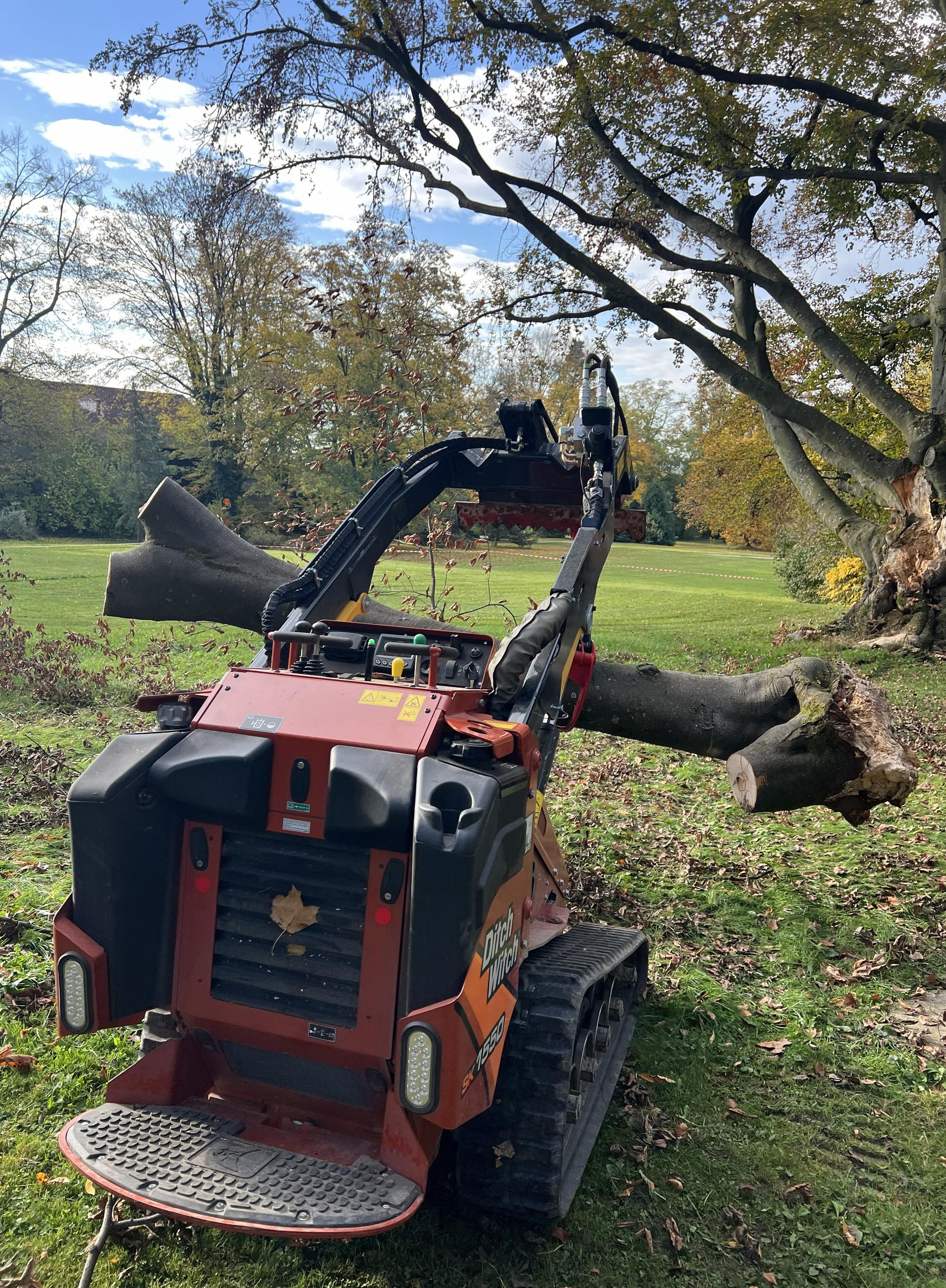 Výškové Kácení Ondřej Liebl foto 2