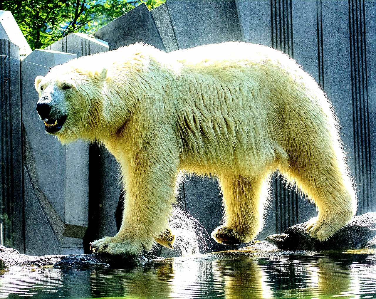 Zoo Praha foto 6