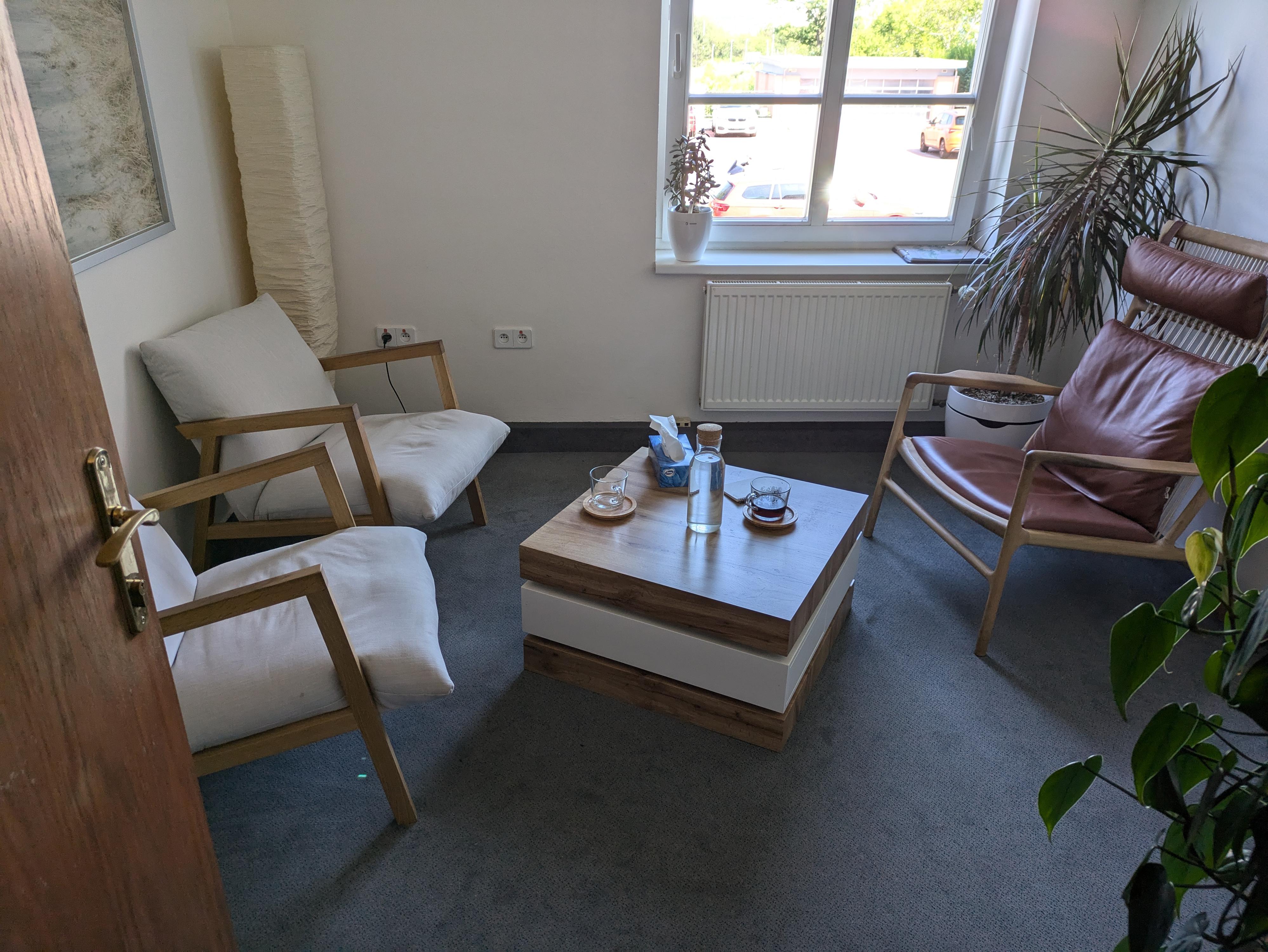 Psychologické poradenství - Mgr. Alek Lačev, Ph.D. foto 2