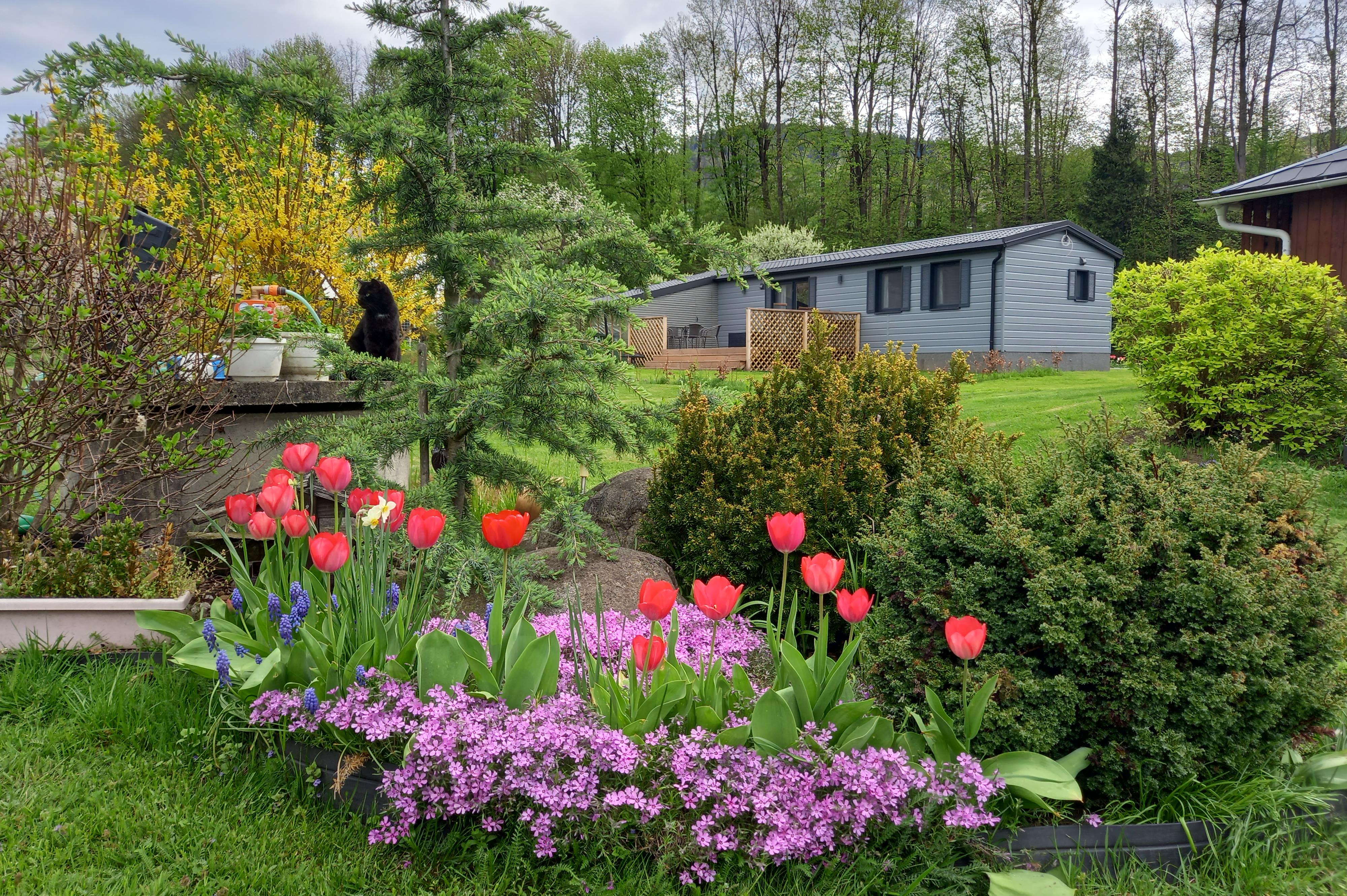 Chata Jesenická Idylka