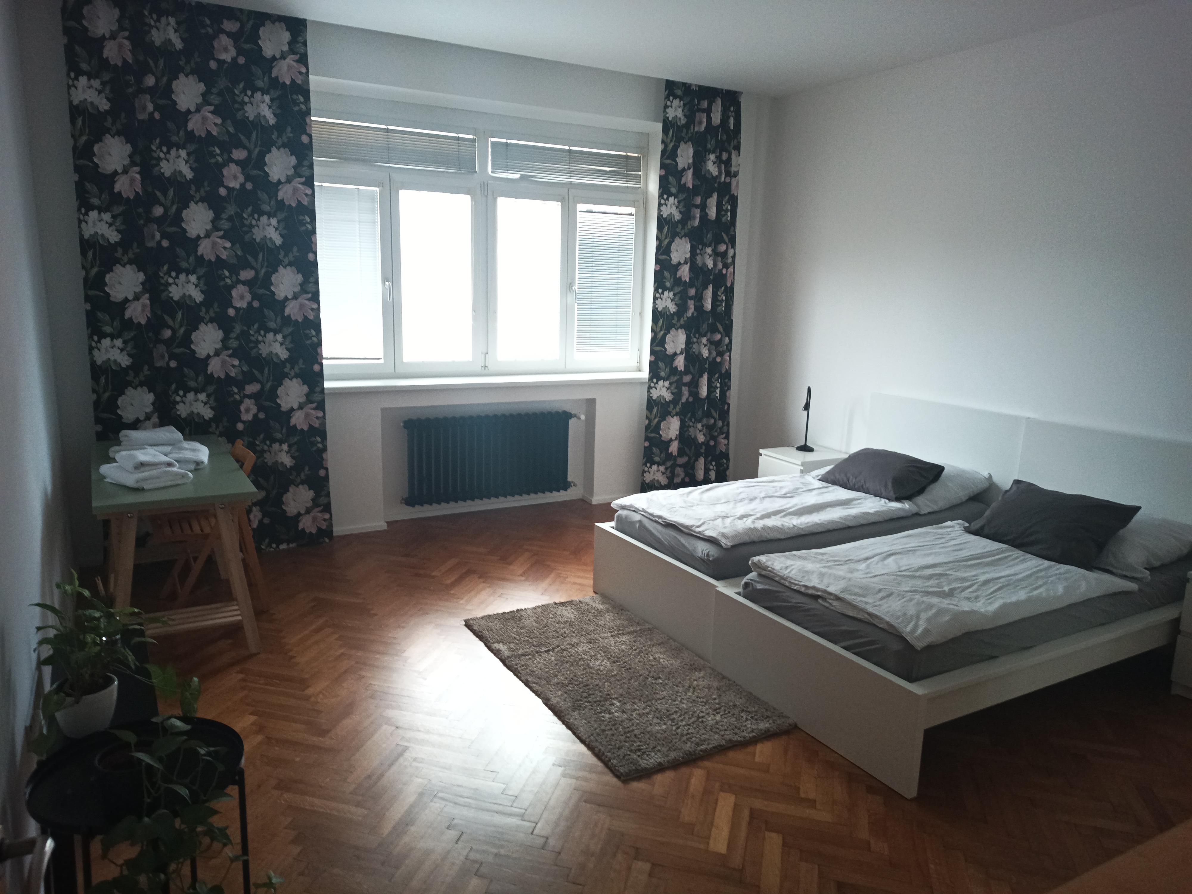 Studio apartment Čápkova