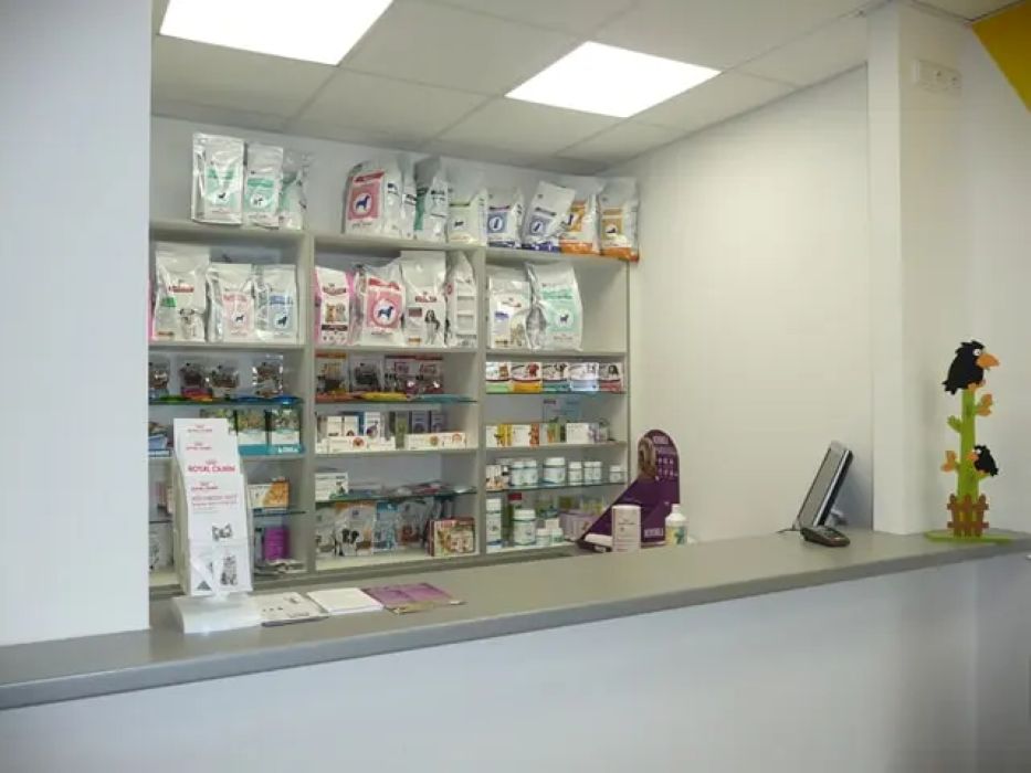 Veterinární klinika Přímětice foto 5