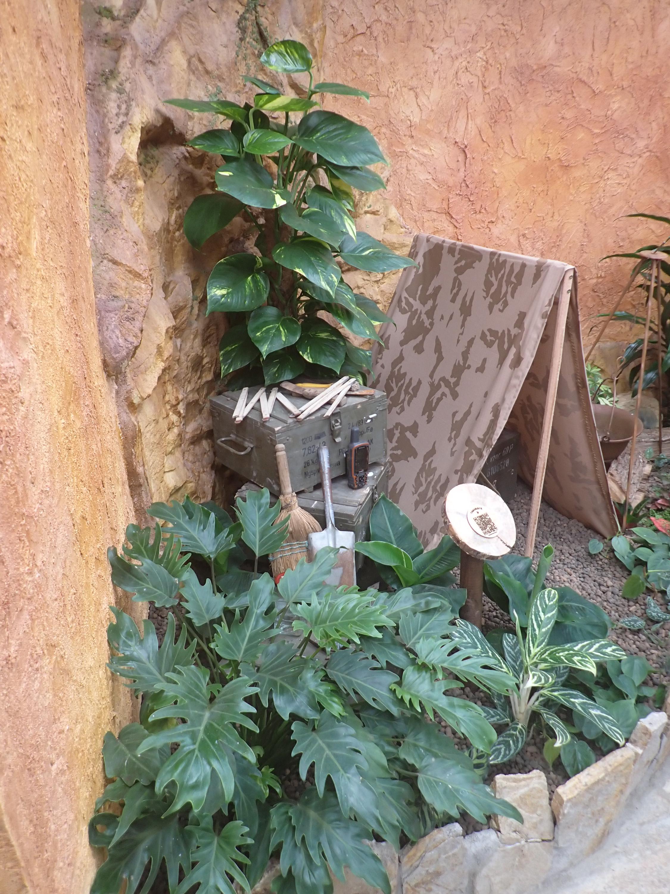 Papilonia – motýlí dům foto 5