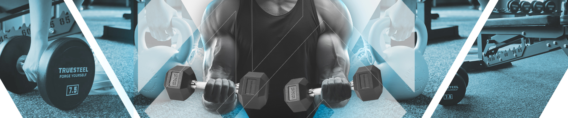 Úvodní obrázek TRUESTEEL