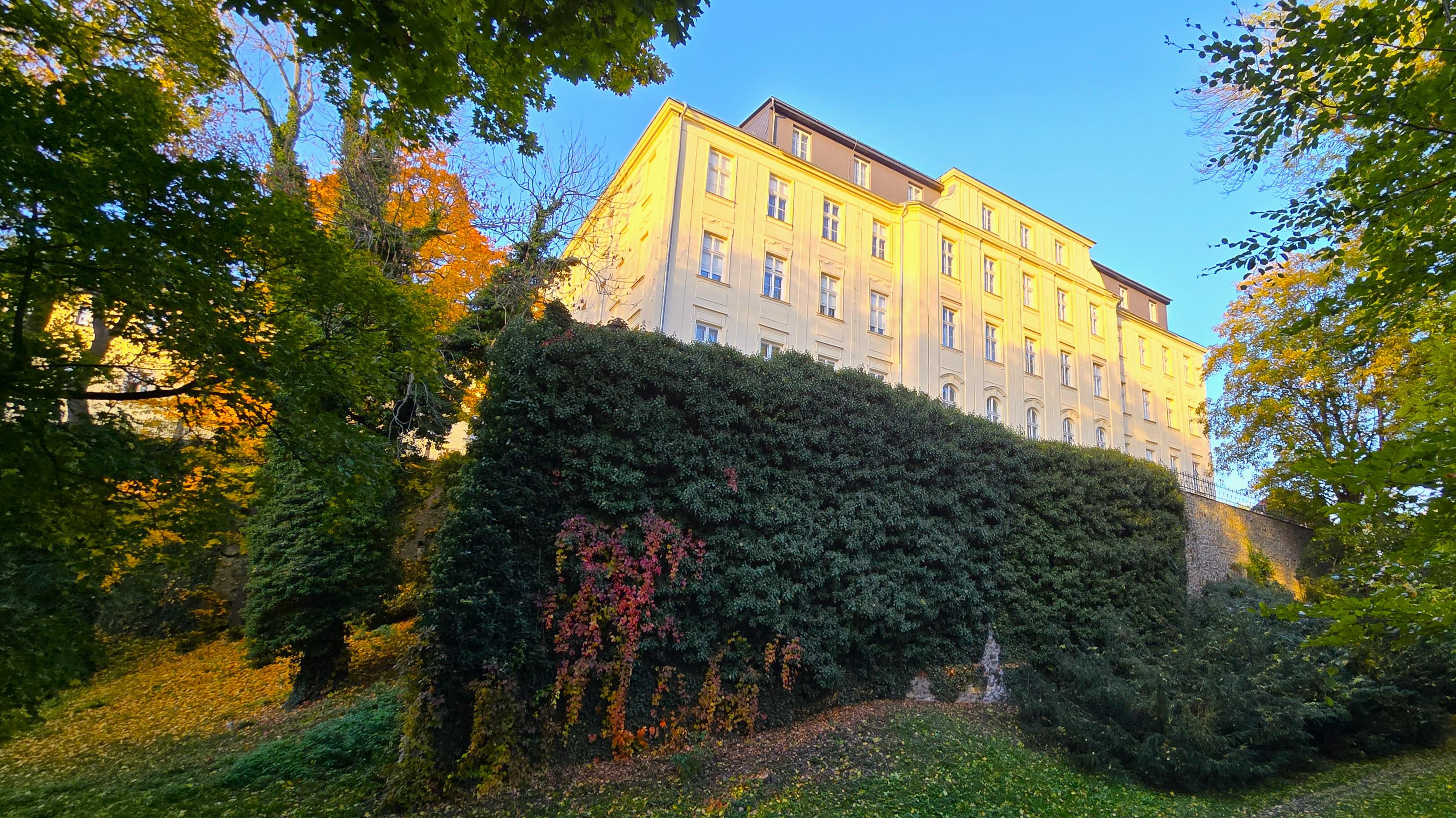 Univerzita Palackého v Olomouci - Filozofická fakulta foto 3
