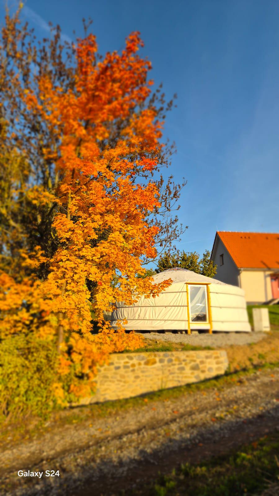 Lanas.cz foto 2