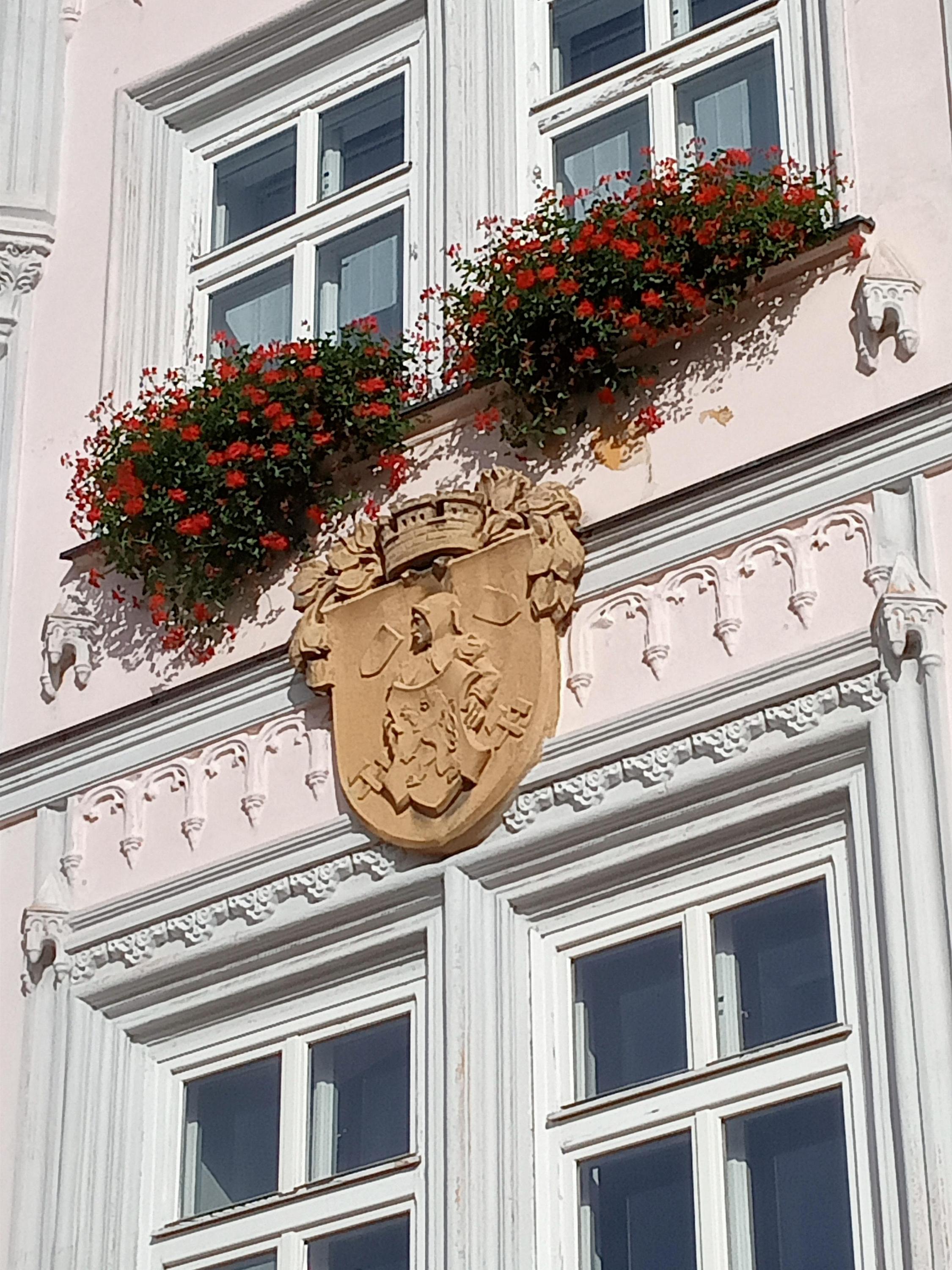Vodňany - městský úřad foto 3