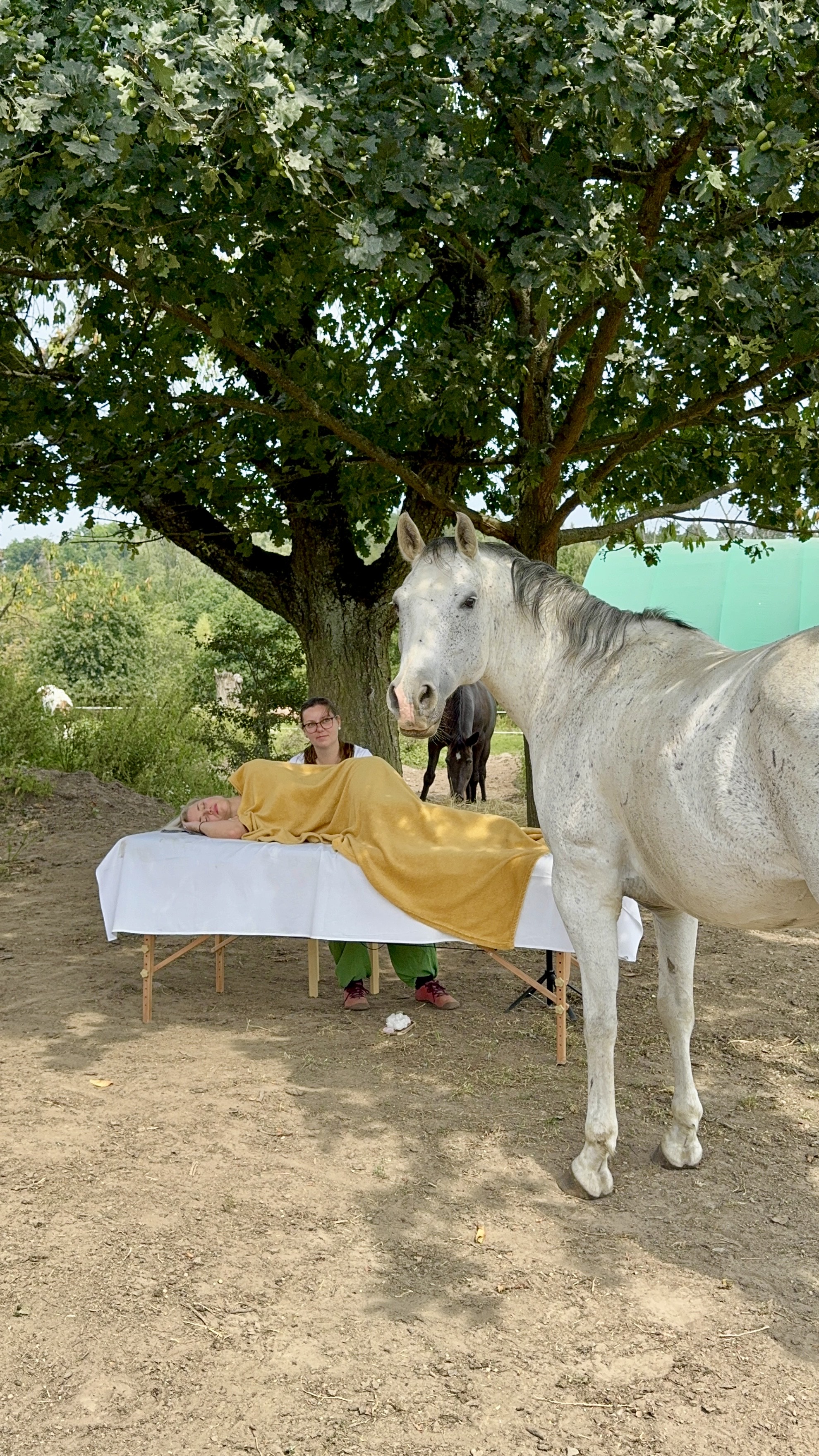 Kraniosakrální terapie s asistencí koní