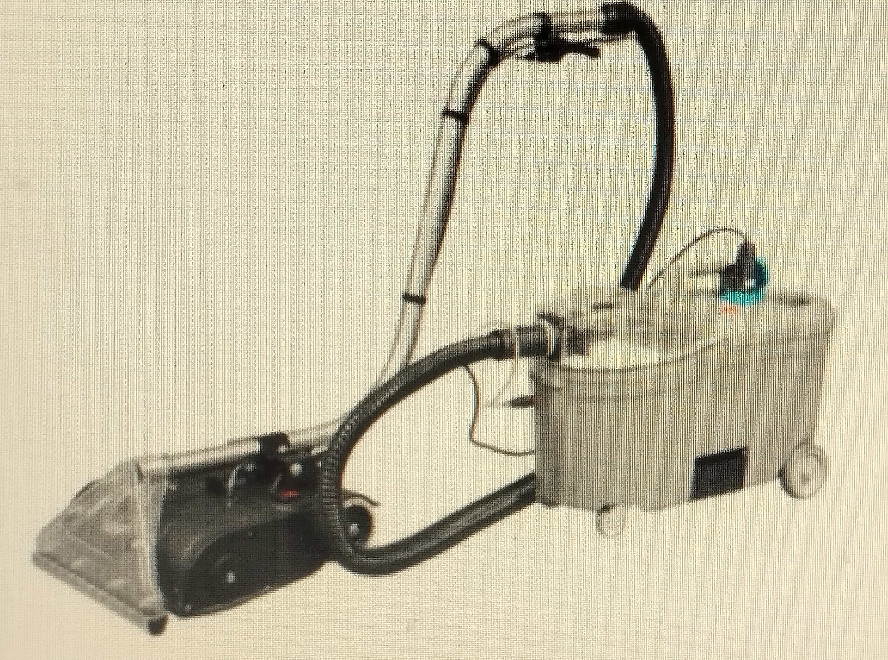 Čištění koberců a čalounění mokrou metodou