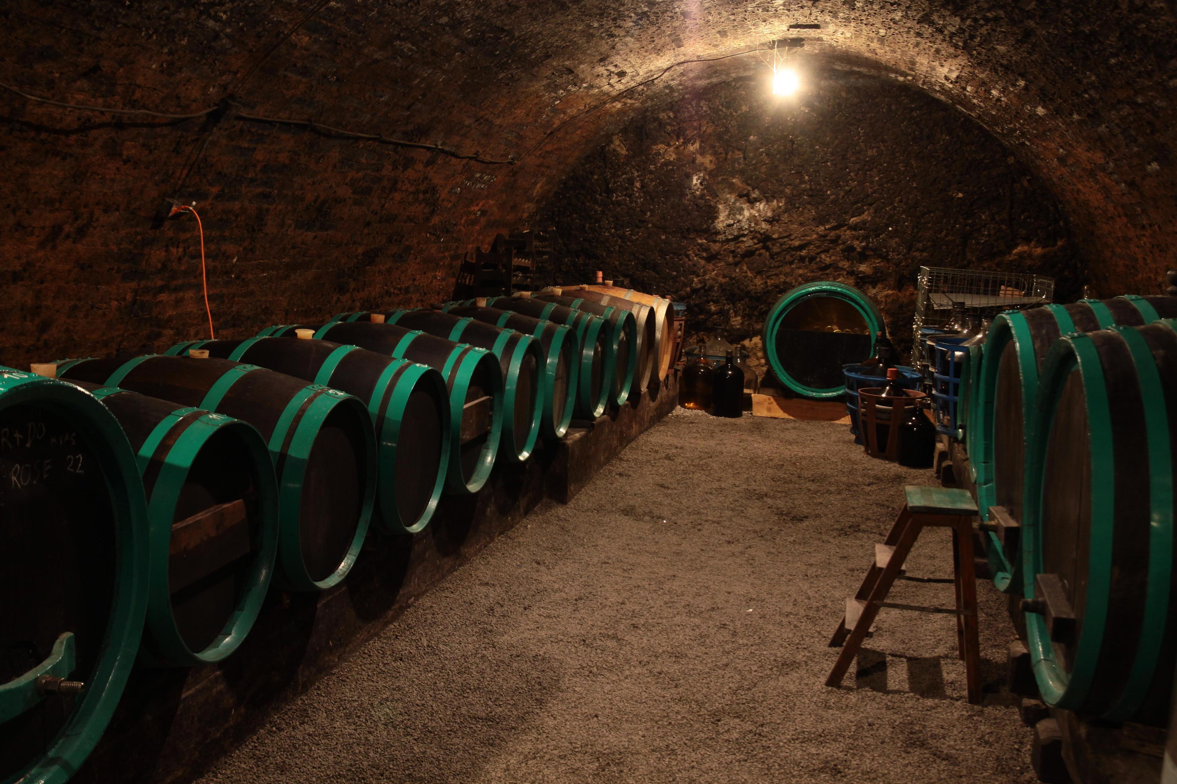 Vinařství sKřivánek