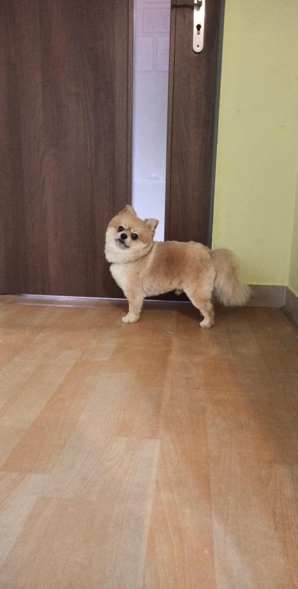 Lenka Bučková foto 2