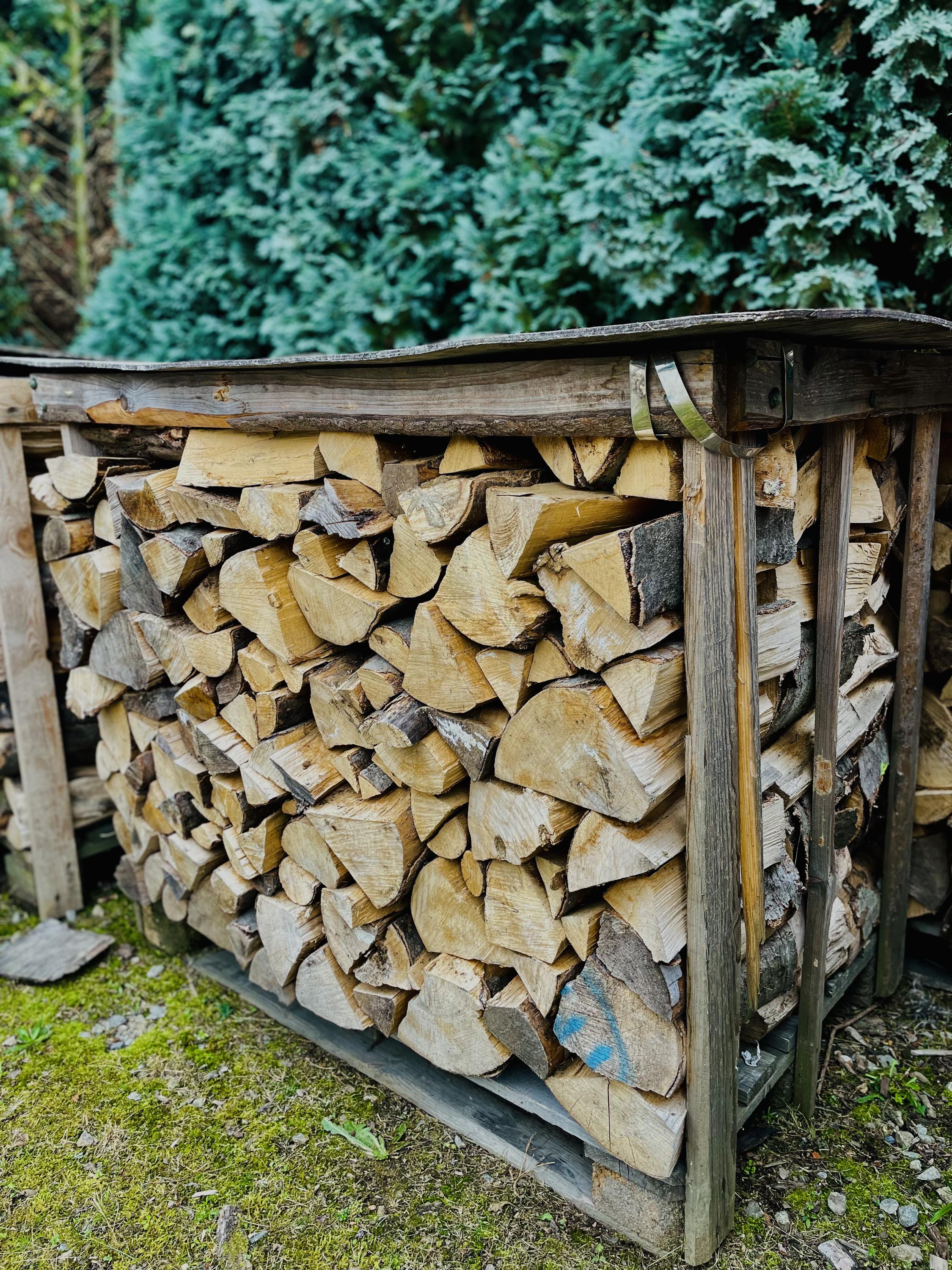 DŘEVOSPEKTRUM - PILA foto 2